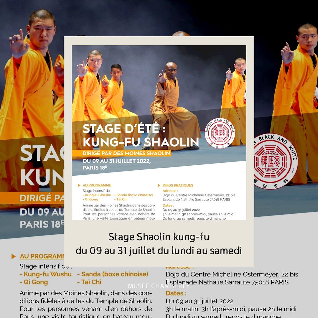 Inscrivez-vous au stage d’été où des moines Shaolin seront présents ! Lien en bio ! #responses #stage #kungfu #shaolin #shaolinkungfu #shaolintemple #shaolintraining #shaolinmaster #shaolinlife #wushu #wushulife #shaolin_kung_fu