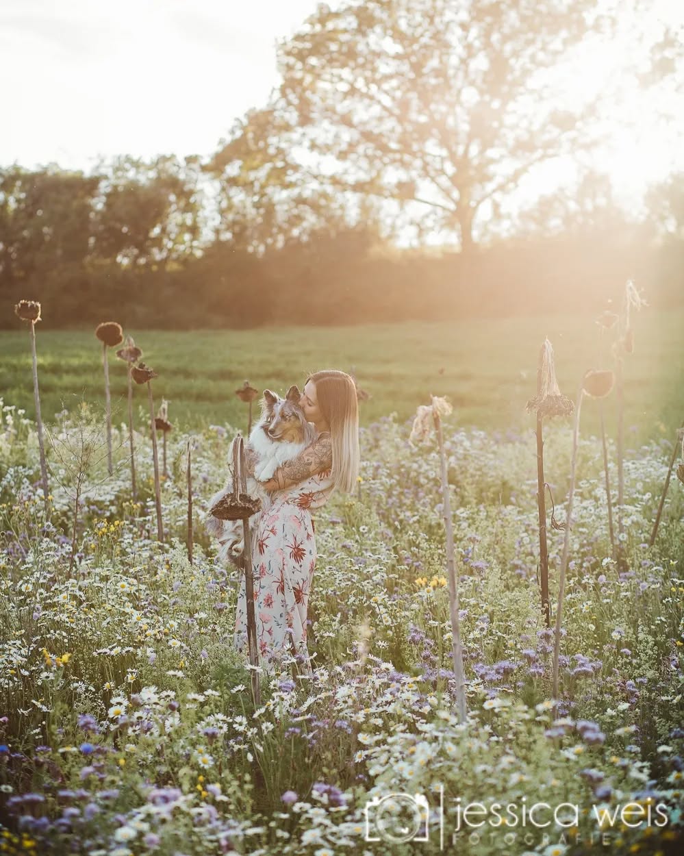 #abendsonne #shootingmitabendsonne #hundeliebe #hundeshooting #lookatthoseeyes