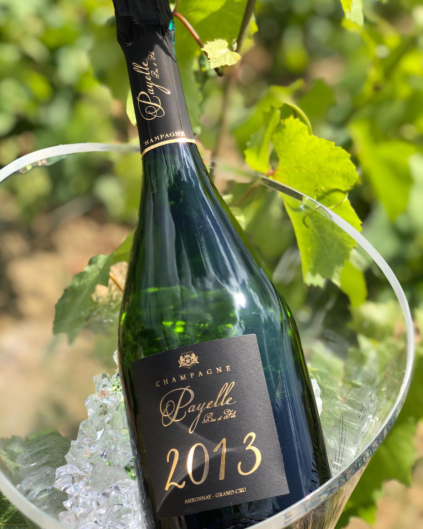 🍾Sortie de notre nouveau Millésime 2013, composé de 50% chardonnay 50% pinot noir