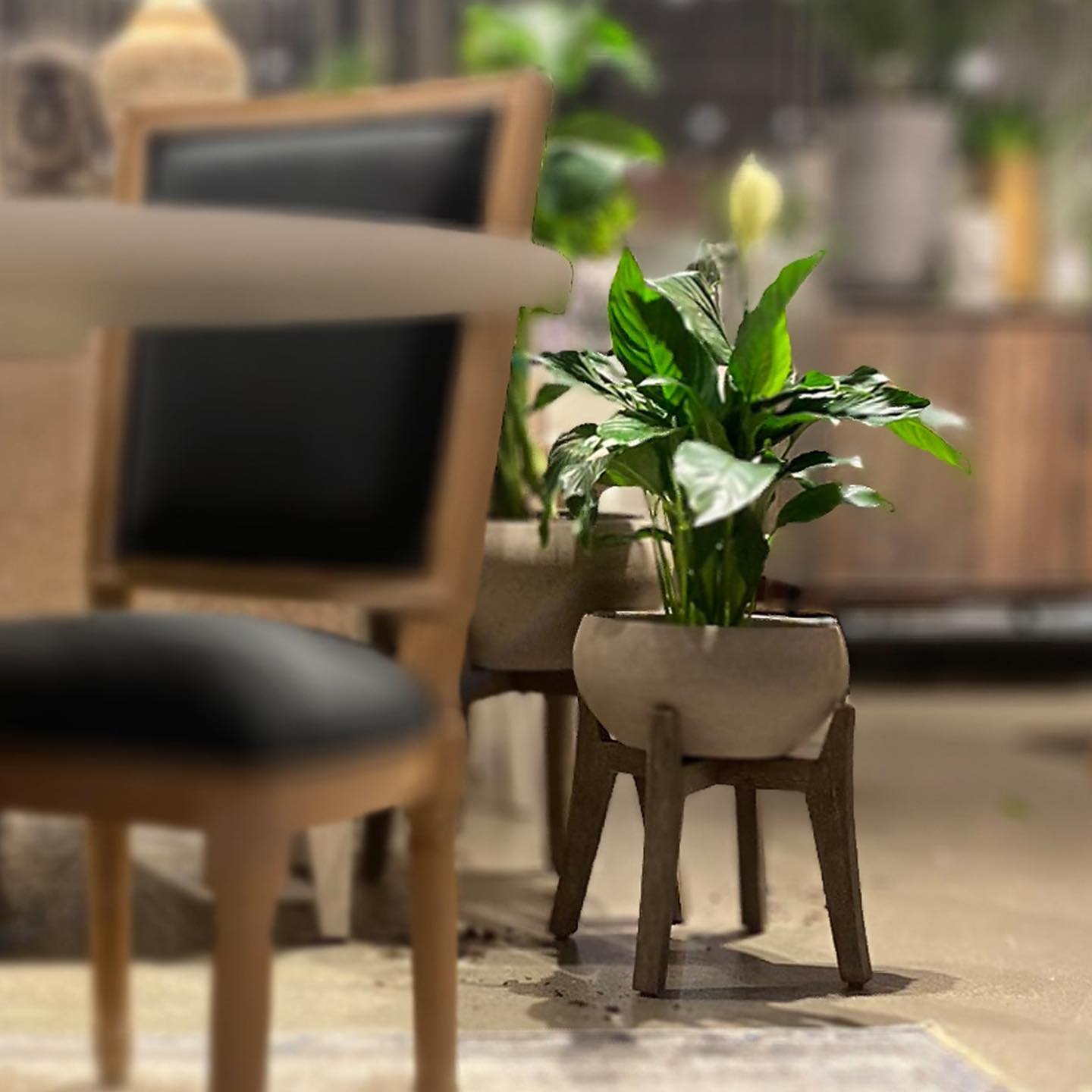 Maceta de Ficonstone Piedra Marrón. Es simple y elegante. Ideal para espacios que necesitan un toque extra. Con el material Ficonstone, esta pieza es apta para uso interior y exterior.
Dos tamaños. Envíos a todo México 🚛📦
.
.
.
#macetas #macetasexterior #macetaspiedra #macetaconbase #macetamarron #decoracion #interiores #plantas #plantasdecasa #interiorismo #deco