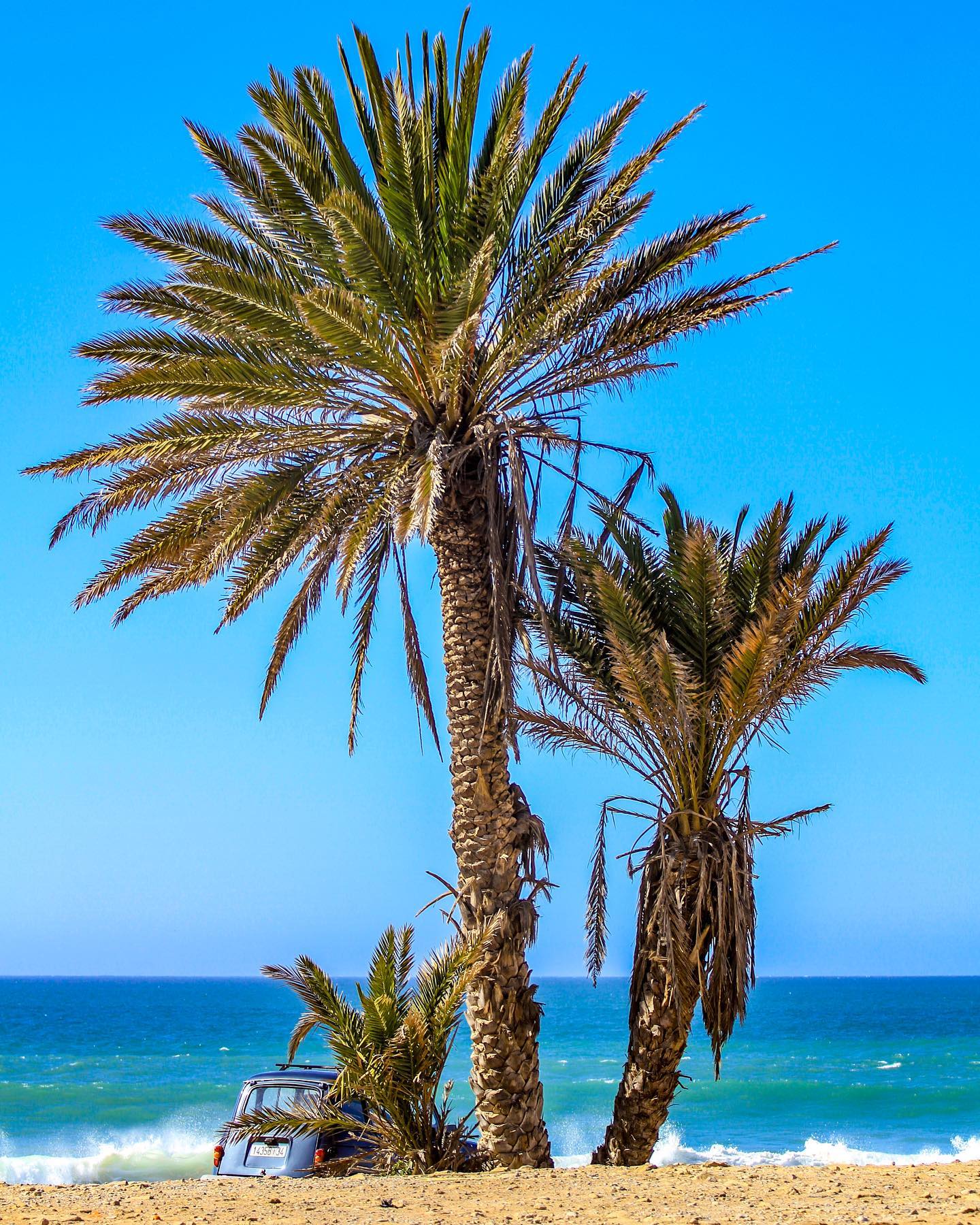 Missing the ocean? Come and visit us in Morocco. We show you our favorite surf spots! Check out our page for more details!
#wavegypsy #morocco #surfingmorocco #holidayforlife