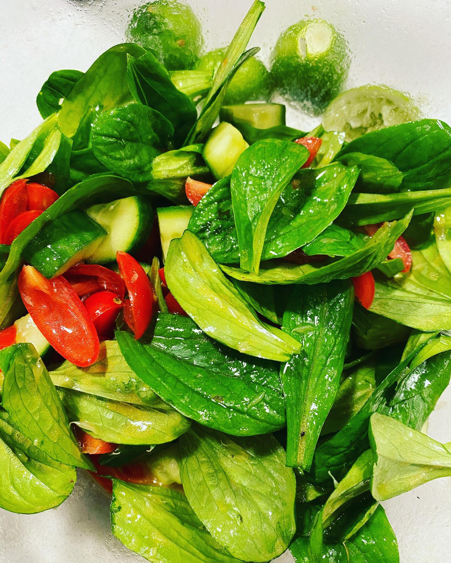 When I took my kids to France for vintage, living in the countryside and shopping for groceries at the market in Vaison-la-Romaine, my kids and their cousins couldn’t get enough of these salad greens called marche. Its growing in my garden now and loving these cold days, unlike the rest of us. And we can imagine just a bit that we are back in Cairanne. #marché #saladgreens #weneedmoreofthisinaustralia #greensthatkidslove #cairanne #vintage