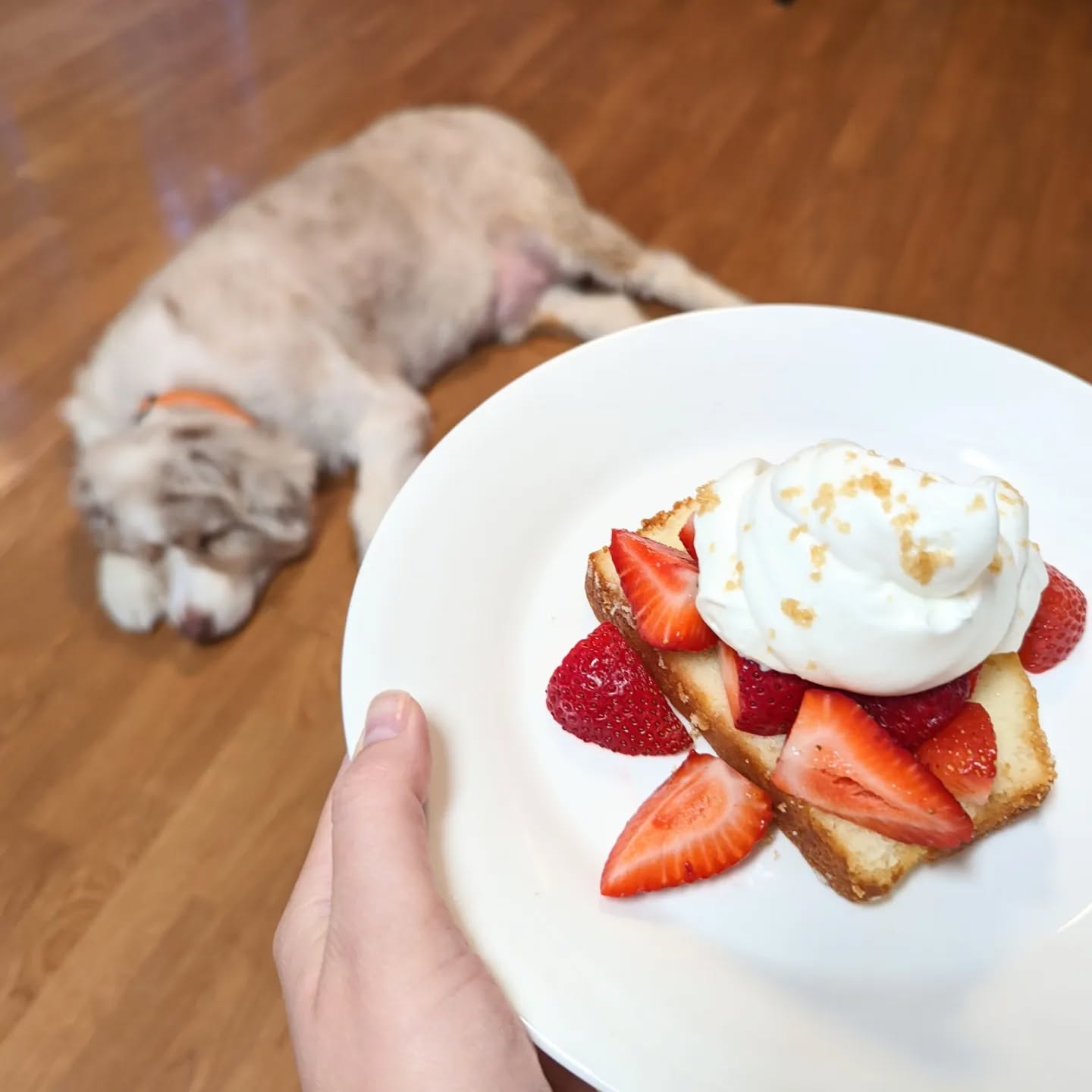 This is my Nana's lemon pound cake that she MAILED my mom this week (yes, she actually mailed ๐ช a cake). I topped it with fresh summer strawberries and homemade whipped cream ๐
I always tell my clients, when you eat dessert you should be intentional, mindful and slow down to ENJOY it. This allows you to feel satisfied with less and avoid sweets that you do not truly enjoy.