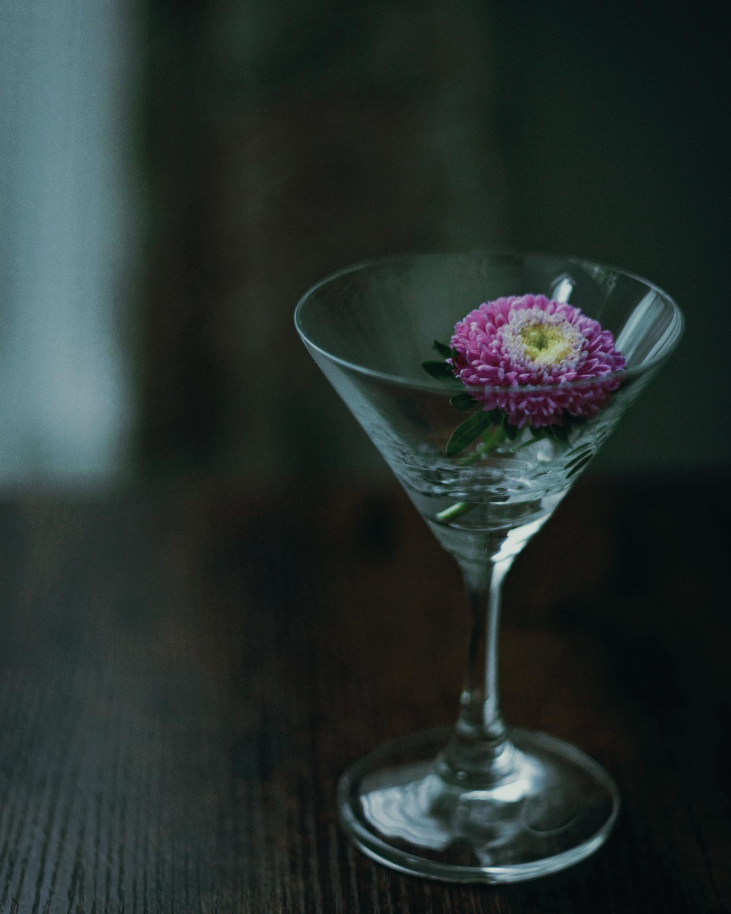 スプレーマム
#spraymum #chrysanthemum
#flowerlove #flowergram #flowerphotography #flowersmakemehappy #flowerlover #flowerart #flowermagic #blooooms #inspiredbypetals #petalsandprops #flowerfriday #simply_flowers #floralphotography #floraldesign #floralstyling #floralarrangement #floraldesigner #slowfloralstyle #floralfix #floralfriday #florallove #florallife #floral #awesome_florals #ig_discover_petals
