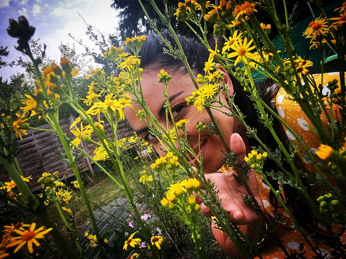 ☀️. Et bonjour Été .☀️
.
..
…
..
.
#été #summer #verano #21juin #jaune #yellow #amarillo #douceurdevivre #fleurdeschamps #flowers #flores #hello #bonjour #hola #wild #sauvage #salvaje #nature #naturephotography #naturelovers