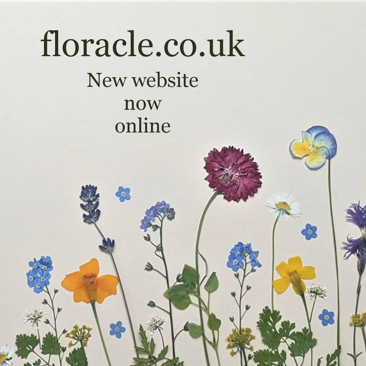 New website now live. See our range of pressed edible flowers and order online with free delivery.