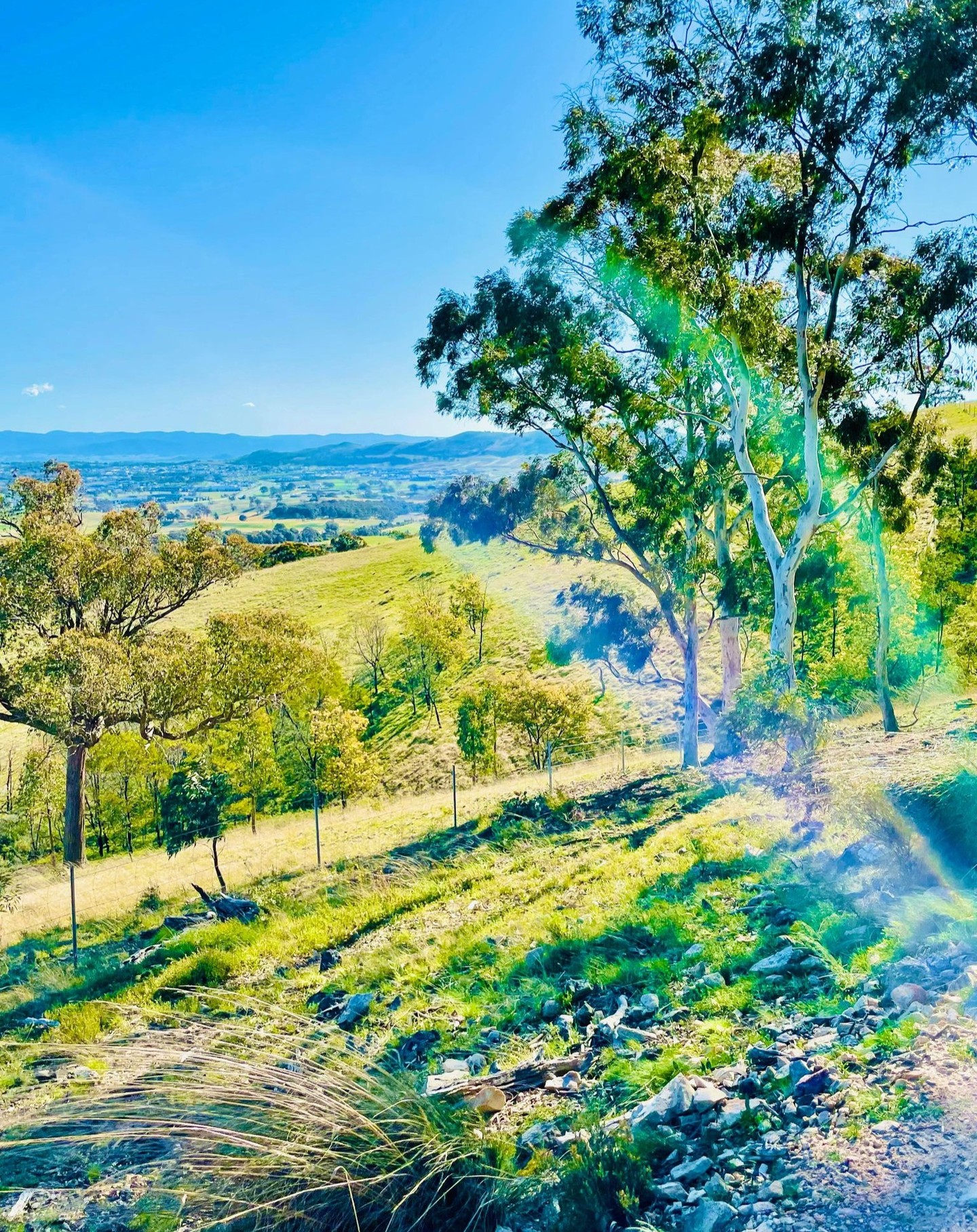 DID YOU KNOW AWE HAS THE POWER TO DISTRACT US EVEN FROM OUR MOST ANXIOUS THOUGHTS?
Recent studies indicate that moments of awe are more effective for improving our well-being than positive emotions, like joy or amusement.
It turns out the simple act of looking up can also increase creativity, help you live a life full of awe, and increase your overall well-being.
Research has shown awe can:
* EXPAND OUR PERCEPTION OF TIME AND SPACE
* BOOST OUR HAPPINESS
* REDUCE STRESS AND ANXIETY
* CONTRIBUTE TO GREATER LIFE SATISFACTION
* HELP US CARE MORE ABOUT OTHER PEOPLE
* HELP US THINK MORE CRITICALLY
* HELP OUR IMMUNE SYSTEMS
* INCREASE OUR LEVEL OF HUMILITY AND GRATITUDE
So, for anyone looking to get a bit more awe in their lives, swipe left and check out this post☝🏼for five ways you can directly access awe today.
#thepowerofawe #increasehappiness #increasegratitude #boosthappiness #reduceanxiety #reducestress #thepowerofnature #selfcareishealthcare #startyourweekright #coachingforwomenaustralia #coachingforwomen #resultscoach #wellbeingcoach #mindsetcoach #mentalhealth #wellbeing #askaresultscoach #practicalstrategies #changeyourlife