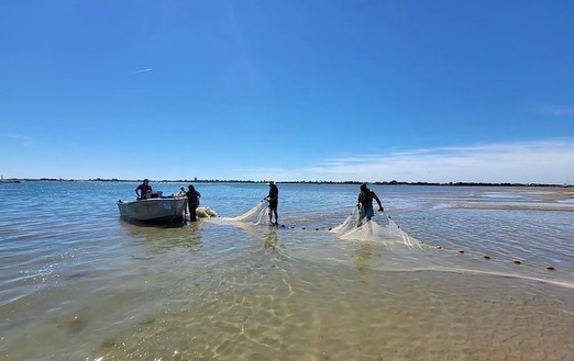 So great to get back out completing surveys yesterday☺️
Thank you to @bluemarinefoundation, @uopmarinebiol students and @rspb_love_nature for inviting us along.
It’s great to get a feel for what’s in our waters and the data collected will help inform how (and if!) populations have changed over the years!