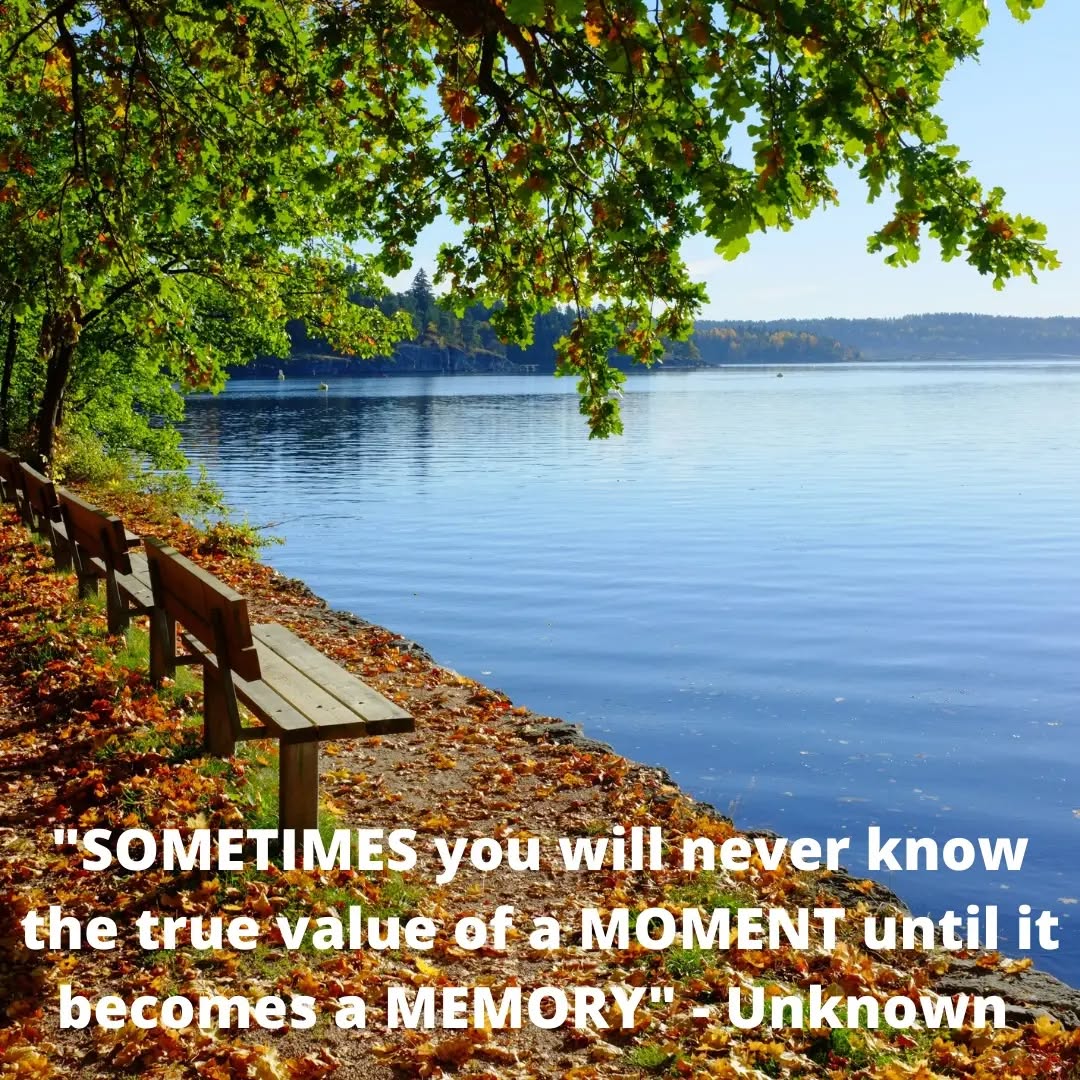 I believe we can all relate to this quote. We live in a fast pace world full of distractions, stress & more where we forget to stop, slow down and appreciate the moment we are in.
Take a deep breathe and appreciate today!
#motivation #motivationalquotes #livingmybestlife