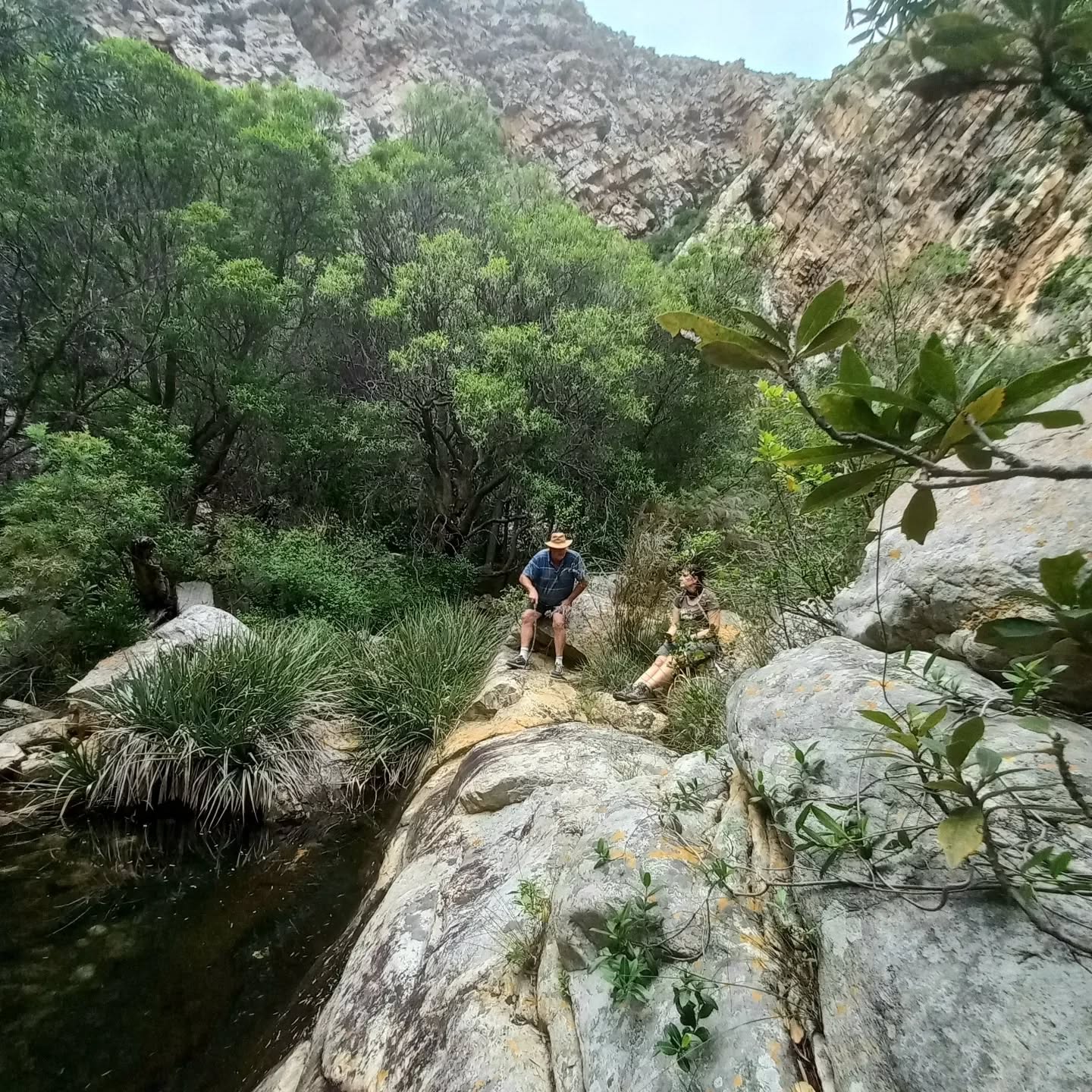 feel the earth 🏞
#naturesvoice #hiking #feelsoholy #adventure #nature #explore