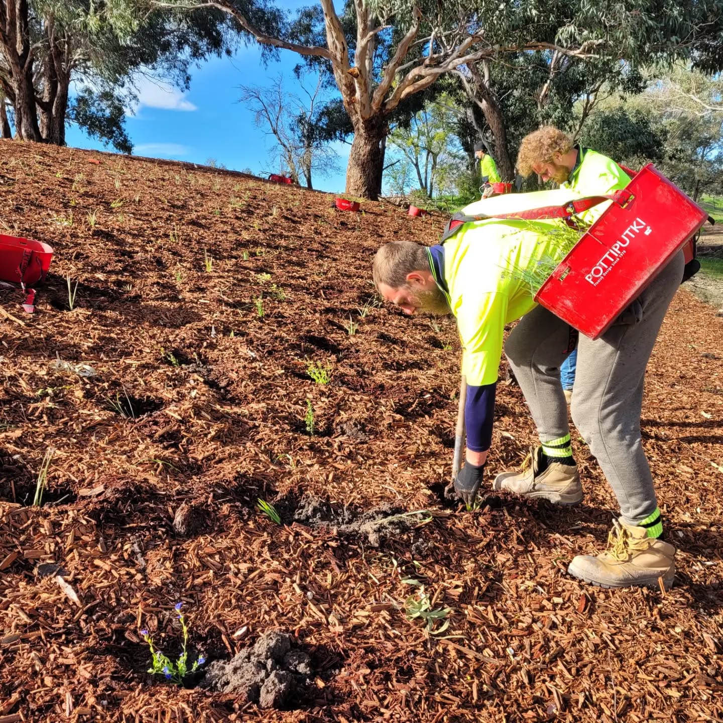 Are you interested in travelling around Australia planting trees, earning great money, working with awesome people, and doing your part to help save our environment?
If so apply via the following link! š
https://www.allabove.com.au/employee
#replantingourfuture
#landscaping
#treeplantingaustralia
#civil
