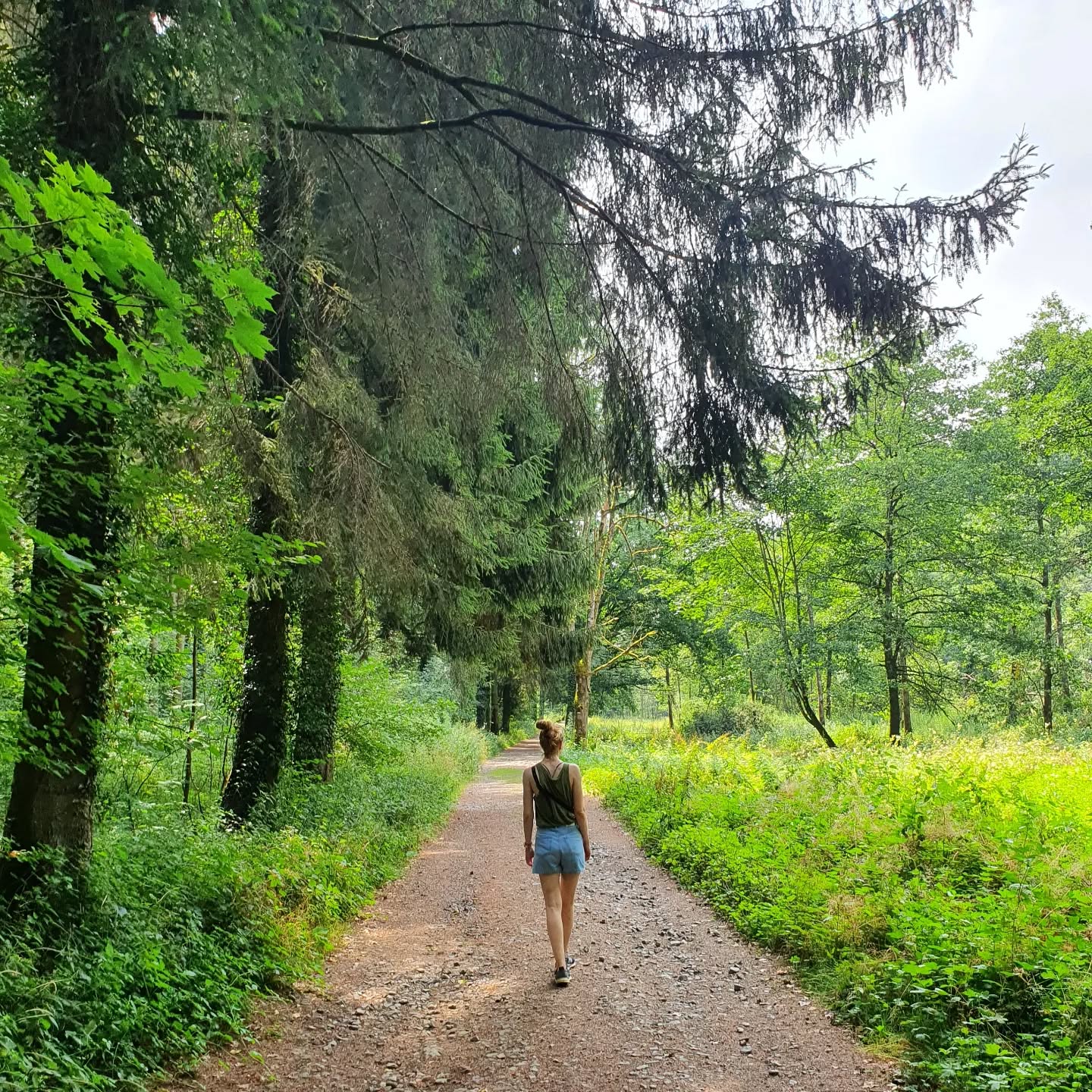 Deze ochtend werd ik wakker en voelde ik druk om snel te beginnen werken. Een druk die ik mezelf opleg, want ik werkte vandaag thuis, ik heb glijdende uren en geen kinderen die ik moet verzorgen of aandacht geven.
We leven in een prestatiemaatschappij en dat voel je aan alles. Je 'moet' een job hebben die goed verdient én die je heel graag doet en dan liefst nog na je job iets ondernemen waarmee je geld verdient, een goede mama/papa zijn, een hoog diploma halen, sporten, vaak op reis gaan, een mooi en opgeruimd huis hebben, er goed uitzien, veel sociale contacten hebben, elke dag gezond eten, etc.
Giet daar een laag sociale media over en je hebt een recipe for disaster met een generatie van mensen die nooit helemaal tevreden zijn of het gevoel hebben dat ze meer willen of altijd wel iets missen. Want eerlijk, niemand kan al die dingen hebben (en zich dan ook nog eens vrij voelen), toch?
Ik worstel er soms mee want het bewust worden daarvan is 1 ding, maar ervan losraken is iets anders. We zouden soms wat milder moeten zijn voor onszelf denk ik. Die lat wat lager leggen. Je doet wat je kan en dat is genoeg. 🤍
Worstel jij ook wel eens met het gevoel dat je 'te veel ballen in de lucht moet houden'? 🙋🏼♀️