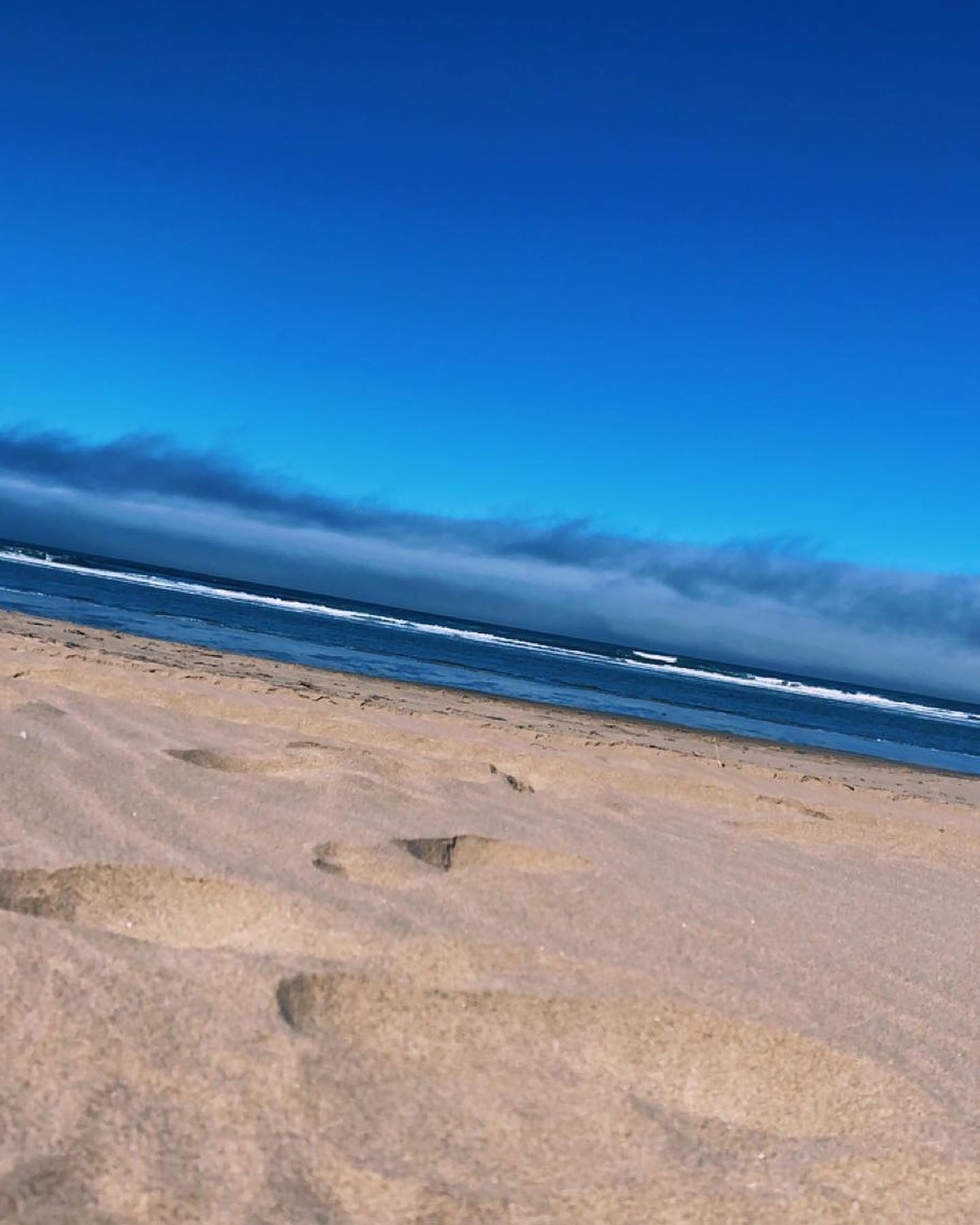 the beach and good hair days >>>
#photography #lighting #model #beach #curlyhair #oregon