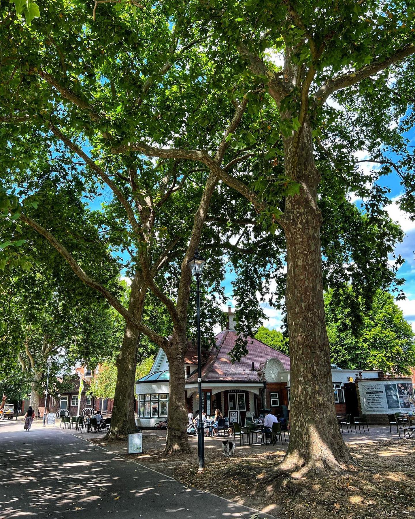 Next in our school holiday series we take you to Bishop’s Park, down by the river in leafy Fulham and home of our @bishopsparkteahouse where the treats will be waiting!
Top tips for your visit…
👧🏽🧒👦🏻 For one week only this August, you’ll find the INCREDIBLE supersize bouncy maze @tuffnutterzuk - a whole load of fun for 5’s and over. Bookings for dates between today and the 14th August are online…be quick!
🌹🌈 Meanwhile by the rose garden next door to The Tea House join @actionamanda on her rainbow parachute for singing, dancing and fun for children aged 4 months to 5 years. Sessions run on Monday mornings, and Wednesdays at 4pm. Book online and receive 10% off your food and drink with us, after class.
🦆 🏖 If you are taking a relaxed visit without planning ahead, the #bishopspark playpark, children’s beach and duck pond (grab stripey bags of food in the café) will provide plenty of fun.
🏰 Finally, next door to the park you will find magical @fulhampalace with its fabulous programme of summer family events - just a short hop across the road.
In between the fun we are open 9am-6pm (kitchen to 5pm) with a super kids menu, our artisan soft-serve 🍦 and plenty of sustenance & caffeine fixes for the grown ups! See you there!
📸 thanks to @i_love_e.t @tuffnutterzuk @actionamanda
#summerinlondon #swlondonmums #swlondonparents #timeoutkidslondon #nappyvalleynet #fulhammums #fulhamlife #fulhampalaceroad #sw6 #sw10