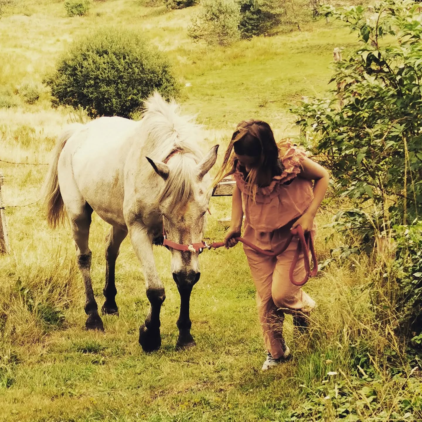 Une jolie photo pleine d'amour, parfaite entente entre cette merveilleuse enfant et une vieille jument qui nous donne toute son amitié
#petitparadis #joiedevivre #naturelove #simplelife #Lanarce #auclairdelasource