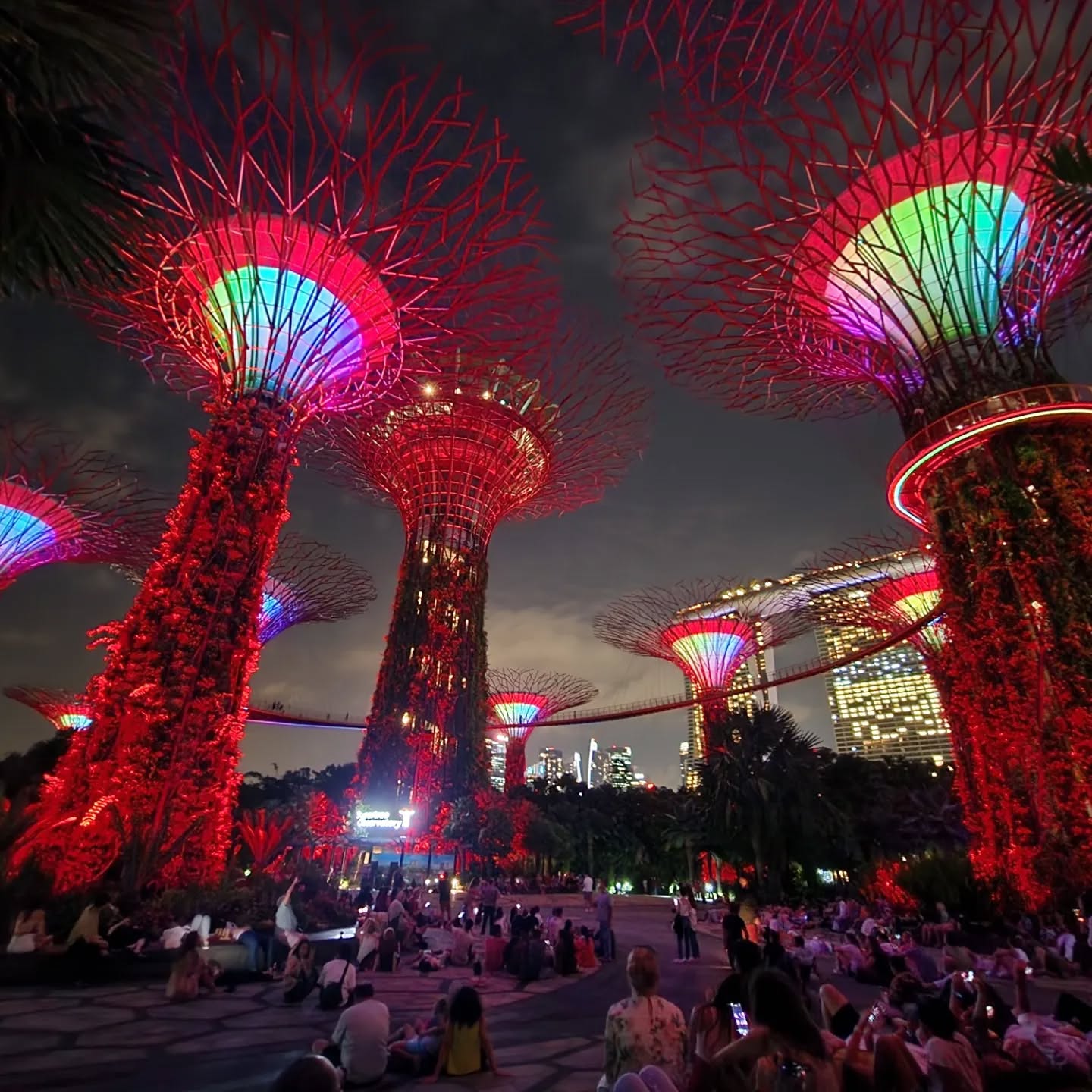 Living that crazy (not rich or Asian) life #gardens #gardensbythebay #singapore #lights #travel #attackontitan #teamlabsborderless #singaporemuseum #marinabaysands #singaporewatershow #lightshow