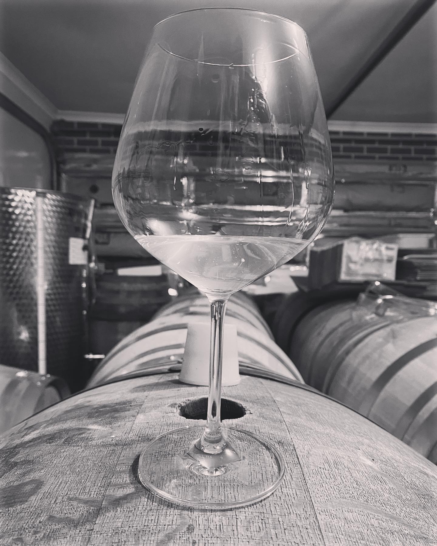 Sometimes winemaking ain’t pretty, but then, you find a wine that is, despite everything, very, very exciting to behold. It’s been a few cold weeks since I’ve checked in with the Viognier barrels and I’d like to reiterate what I said 6 years ago, somewhat tongue in cheek, I might have said I would ‘single handedly bring Viognier back into fashion’. Ok it’s true, I may not have single handedly done that, and maybe it’s still not in fashion, but this Viognier is the bomb. I really can not wait to bottle this and convince you all. @bellarineestate #viognier #somewhatexcited