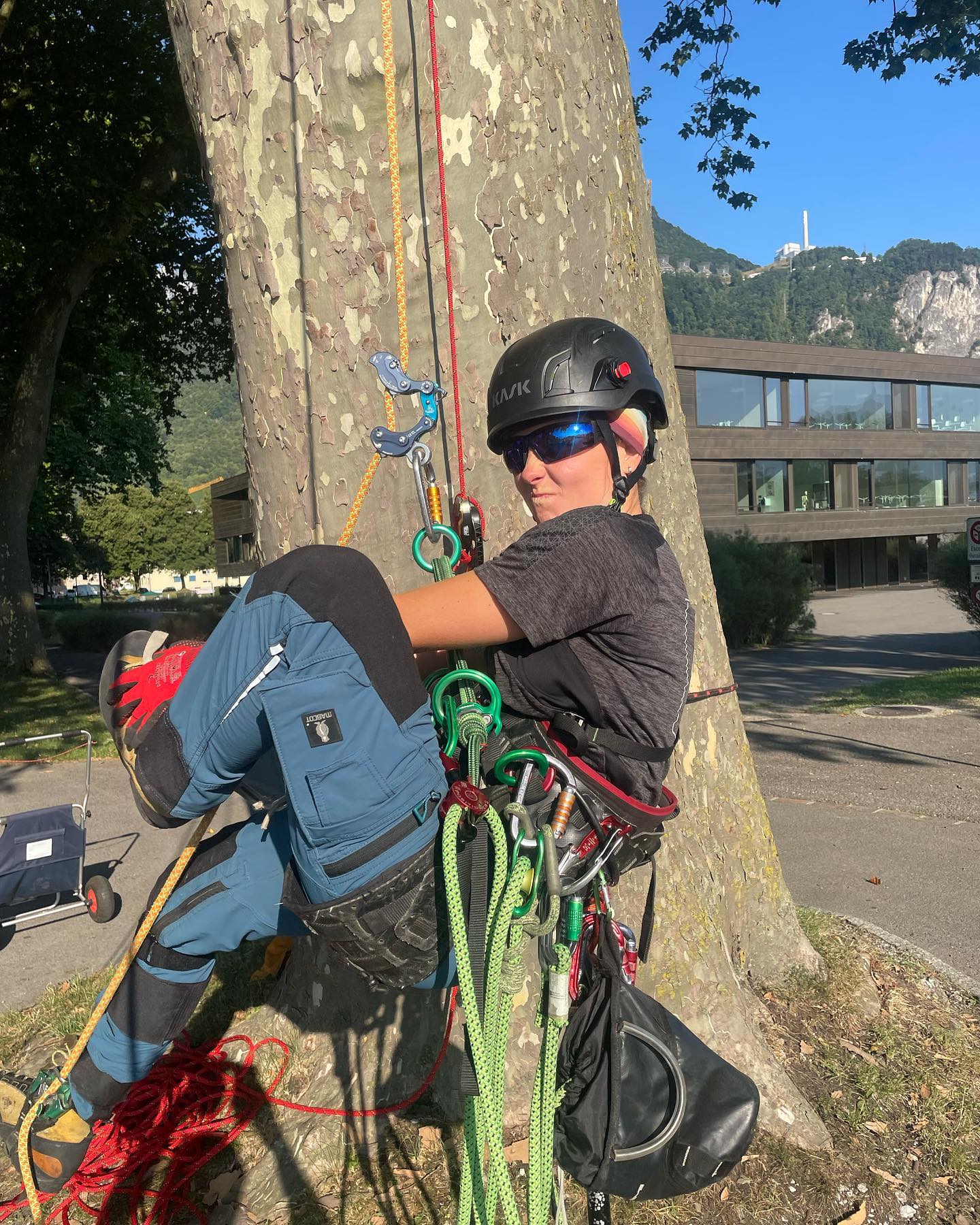 À l’assaut des géants !