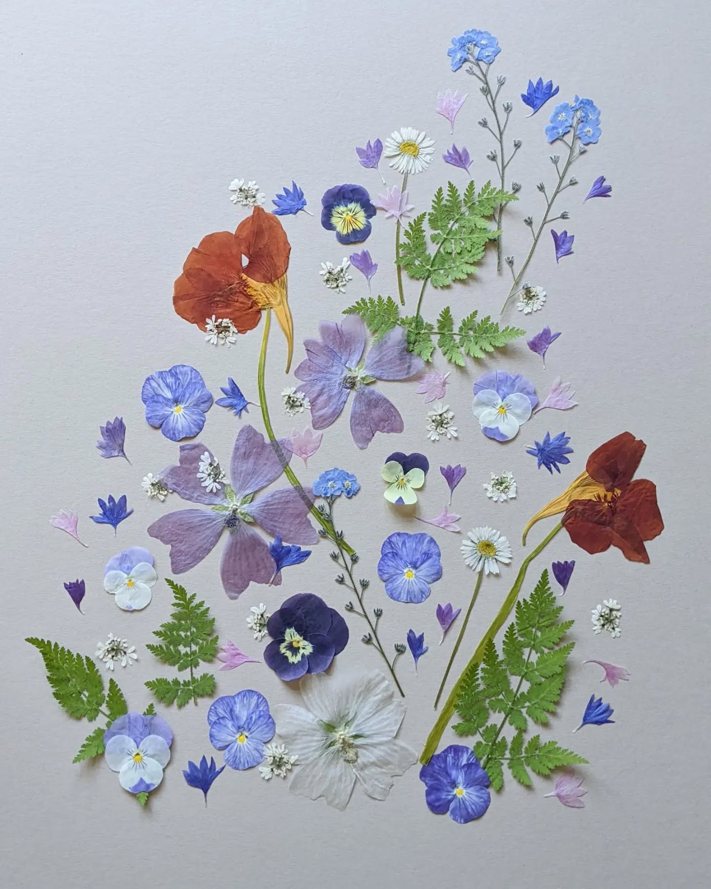A beautiful collection of pressed edible flowers including Violas, Forget me nots, Nasturtiums and Mallows. Assembled on request as a decoration for the front of a tiered cake.
.
.
.
#pressededibleflowers #pressedflowerart #edibleflowers #edibleflowersandleaves #edibleart #floracleflowers #floralarrangements