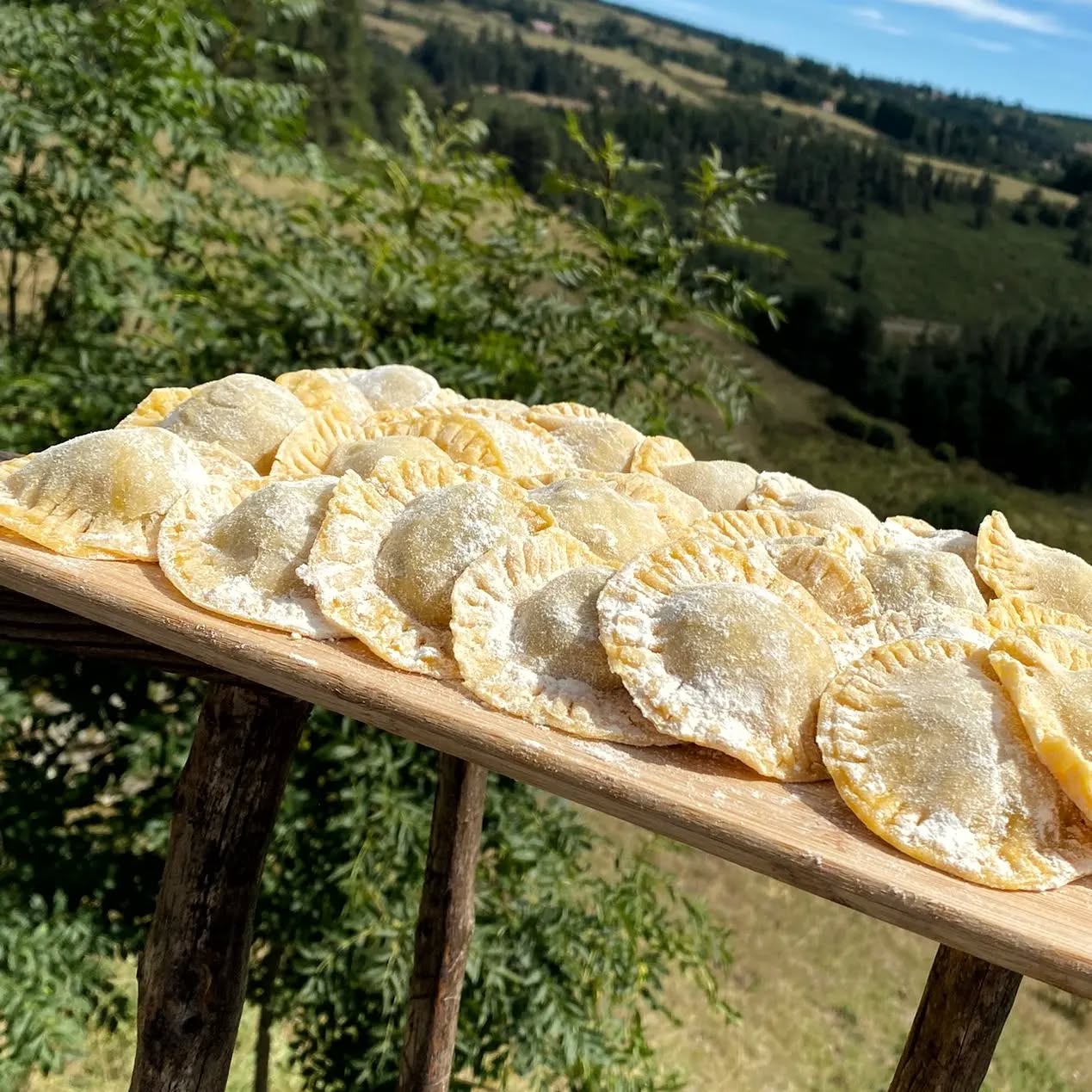Les jolis raviolis aux cèpes 🤤 pour un petit diner gastronomique entre amis
#cepesdardèche #montagneardechoise #simplelife #joiedevivre #Lanarce #foodlovers #localliving #auclairdelasource