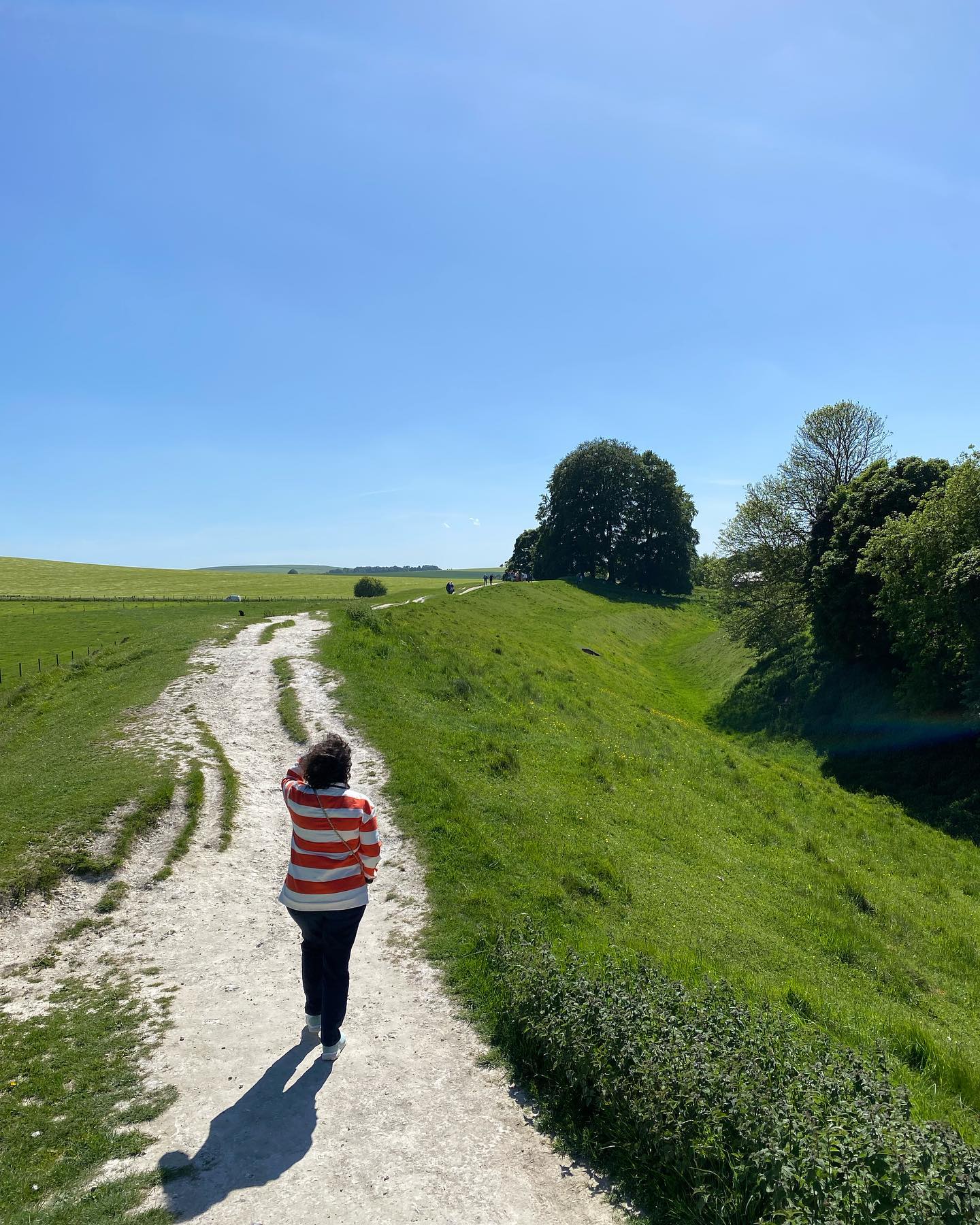Avebury Stone Circle. About 20 miles north of the probably more famous Stonehenge lies another much larger stone circle.
Avebury is big. The circle is much wider than Stonehenge, the ditch is much deeper and the bank of earth around the place is so tall that climbing and walking around it is pretty good exercise. While the stones haven’t all been purposely shaped after quarrying and don’t lock together, like at that other site there are some really big ones. And most importantly, you can touch them!
It’s a very different feel being here rather than at Stonehenge. There aren’t the same crowds here and even if there were they would have a lot more space to spread out in. Avebury is a more accessible place of pilgrimage for those of a spiritual nature. This huge tree has a mass of exposed roots like a cascade of serpents and a host of ribbons tied onto its lower branches.
•
•
•
Hi I’m William Harry Mitchell, a Blue Badge Tourist Guide and Historical Interpreter. I lead tours around London and all over England. Want a tour? Have a look at my website (link in bio) for some ideas and get in touch through the contact form. @whmtours
#avebury #stonecircle #megalith #megalithic #henge #pilgramage #chalk #trees #green #outside #adventure #touchthestones #stoneage #bronzeage #history #tours #touring #tourguide #touristguide #bluebadgeguide