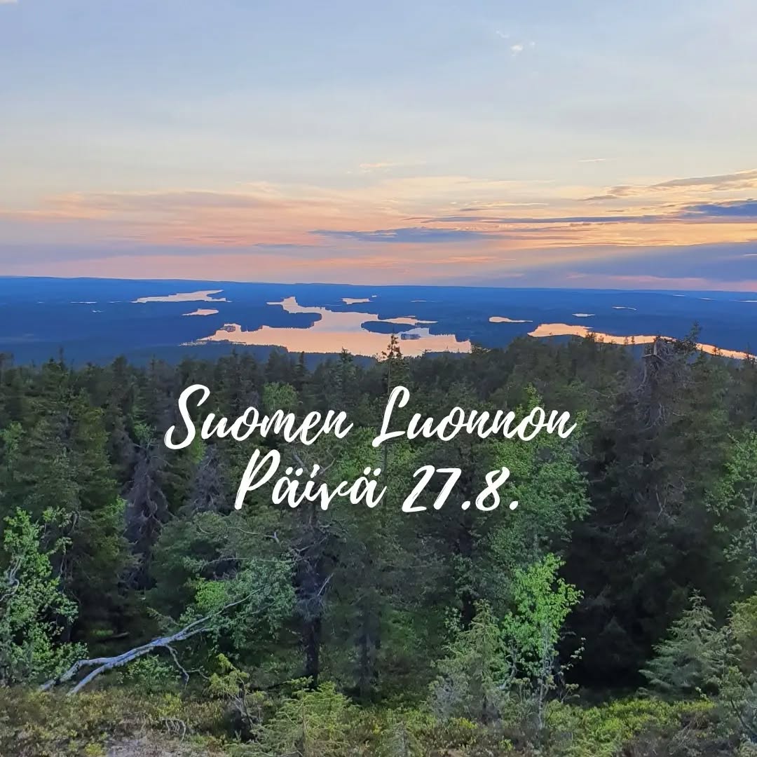 Tule mukaan juhlimaan Suomen luontoa!
Suomen luonnon päivää juhlitaan joka vuosi elokuun viimeisenä lauantaina. Mene metsään, tee marjapiirakkaja, istu kalliolle, halaa puuta ja liputa Suomen luonnolle. Jaa luontojuhlasi tunnelmat somessa #suomenluonnonpäivä #liputanluonnolle
💚🌲
Let's celebrate Finland's nature!
Finland's Nature Day is celebrated every year on the last Saturday of August. Go to the forest, make a berry pie, sit on a rock or hug a tree. Share the feelings of your nature celebration on social media #suomenluonnonpäivä #liputanluonnole