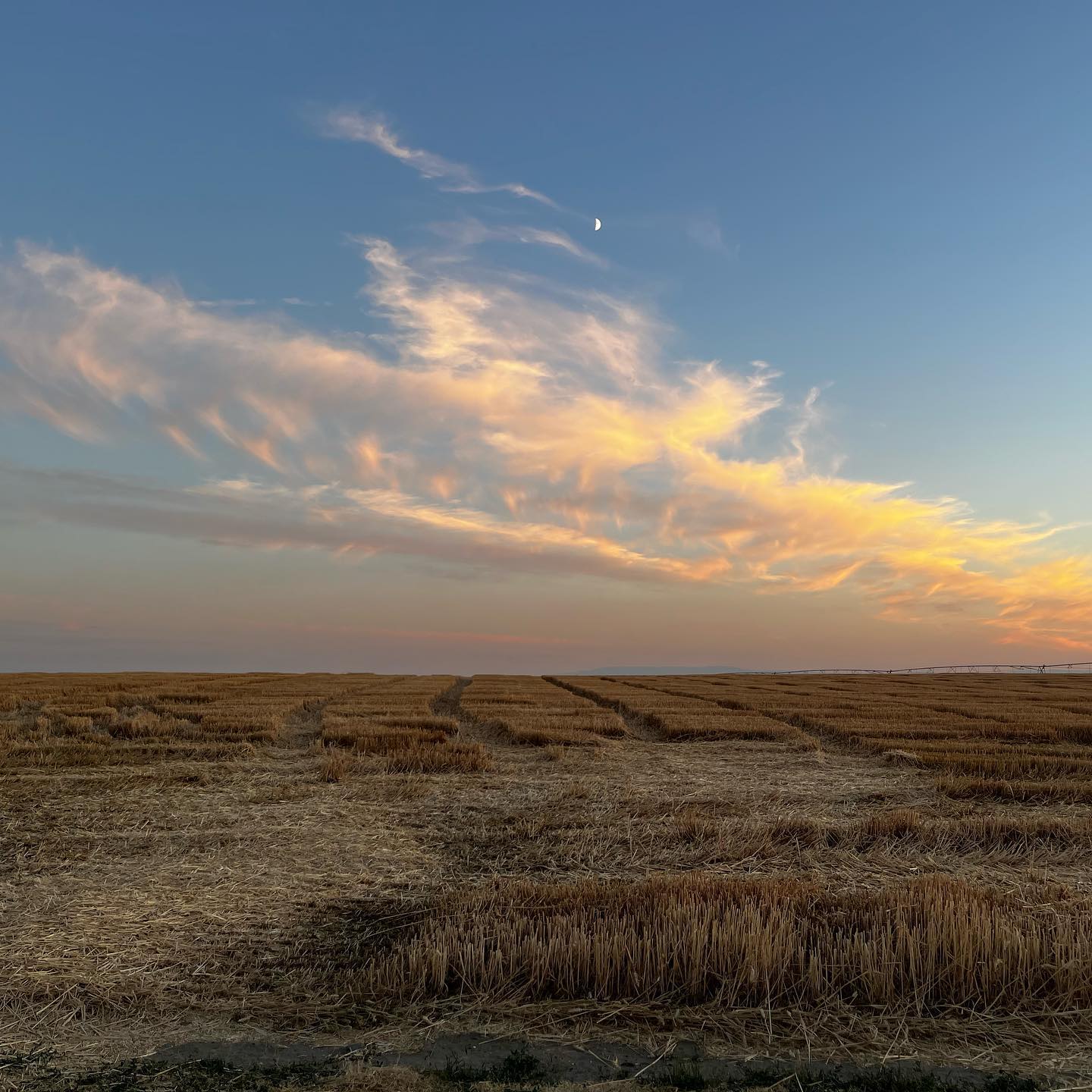 Days never to be forgotten.