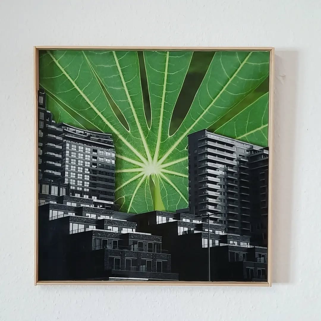 Goedemorgen Zuidas
3D Collage of digital photoprints on Fujifilm paper
41 x 41 cm
280€ with handmade Frame
If interested write me
#digital #photography #photo #collage #nikon #nikoncoolpix #coolpixL820 #nature #naturephotography #netherlands #sunrise #zuidas #zuid #green #plants #botanic #architecture #art #artist #artwork #luxembourg #lëtzebuerg #amsterdam #amstelveen #natuur #planten