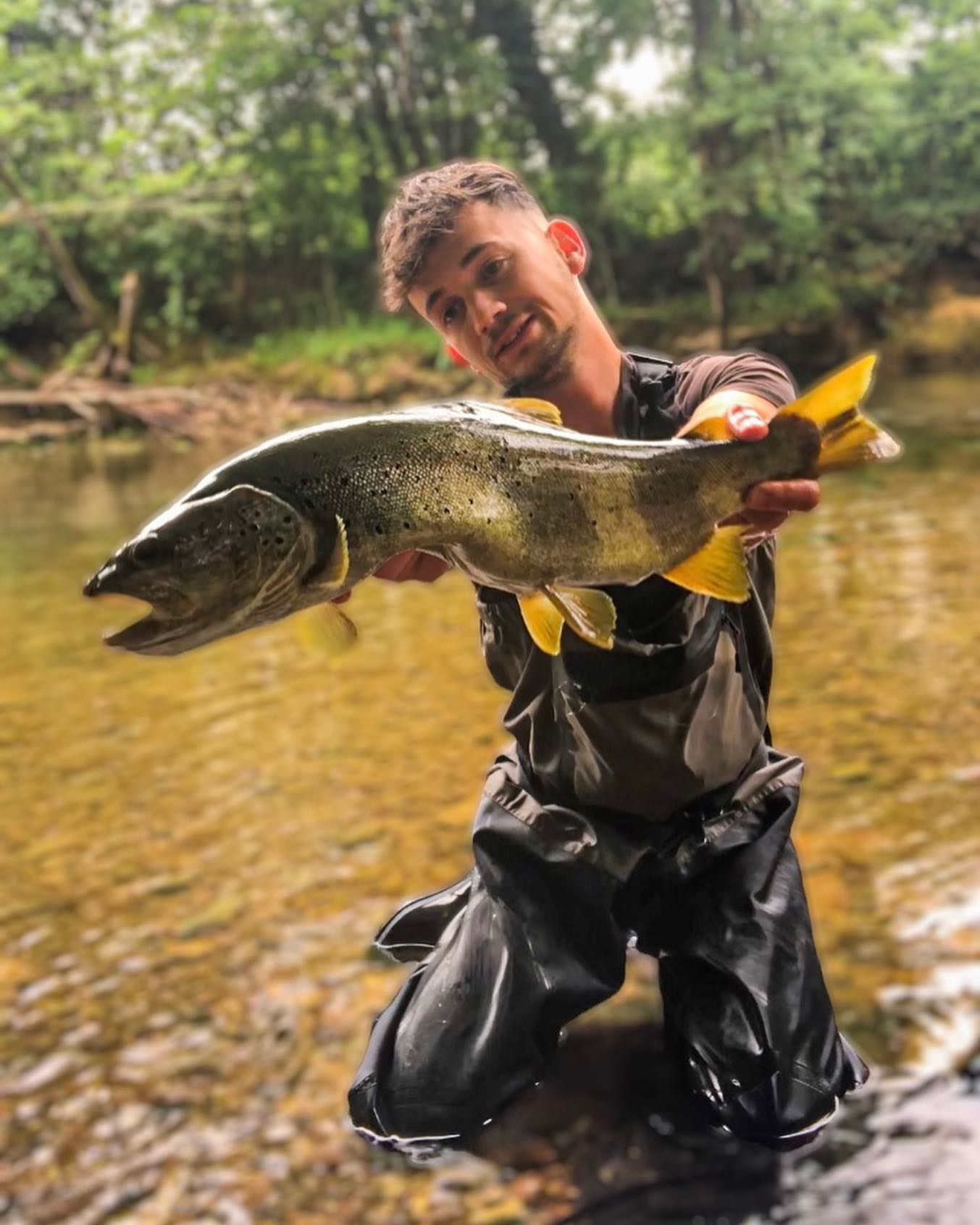 Je me souviens de la première mouche qui m’a fait prendre ma première jolie truite en sèche. J’avais 18 ans et à cette époque je n’avais pas grand monde pour m’expliquer la pêche à la mouche. Alors je suis allé chez le détaillant de pêche du coin et je lui ai demandé les mouches qui fonctionnaient en franche comté et il m’a conseillé quelques mouches d’Ornans. C’était un après midi de juillet, et je me rappelle de cette belle éclosion d’olives, j’essayais de poser du mieux que je pouvais mais à chaque fois c’était un échec (pas évident quand on débute ahah 😅). Après de longues minutes dans l’eau j’ai entendu gober derrière moi, je me suis retourné et j’ai posé ma mouche d’ornans et là à ma plus grande surprise je vois ce poisson monter et se saisir de ma mouche. Maintenant avec l’expérience j’ai compris que ma mouche avait passé avant le bas de ligne ce qui a fait une présentation parfaite. Un combat intense se poursuit et elle finit à l’épuisette. Elle n’était pas bien grosse environ 35 cm mais pour moi c’était un monstre et surtout c’était mon tout premier poisson en sèche, c’était le plus beau cadeau que l’on pouvait me faire.
Si je devais en garder une seule dans ma boîte c’est bien celle-ci.
Cette merveilleuse mouche n’a pas vieillit pour autant, comme peut le montrer cette truite de 53 cm capturée cette année au mois de Mai sur une Ornans couleur olive 😇.
Mes deux couleurs favorites sont l’olive et le jaune pour cette mouche 😊👍
#moucheshalieutique #halieutique_gdn #flyfishing #trout #troutfishing #troutcandy #troutcreek #troutbum #troutflies #flytying #flytyingjunkie #flyfishingaddict #flyfishingphotography #flyfishingart #flyfishingadventures #peche #pecheur #pêcheur #pechefrance #pecheauleurre #pechealamouche #truite #truitefario #bigtrout #browntrout #troutfishing #truitesauvage #troutlife #troutlures #release #nokill