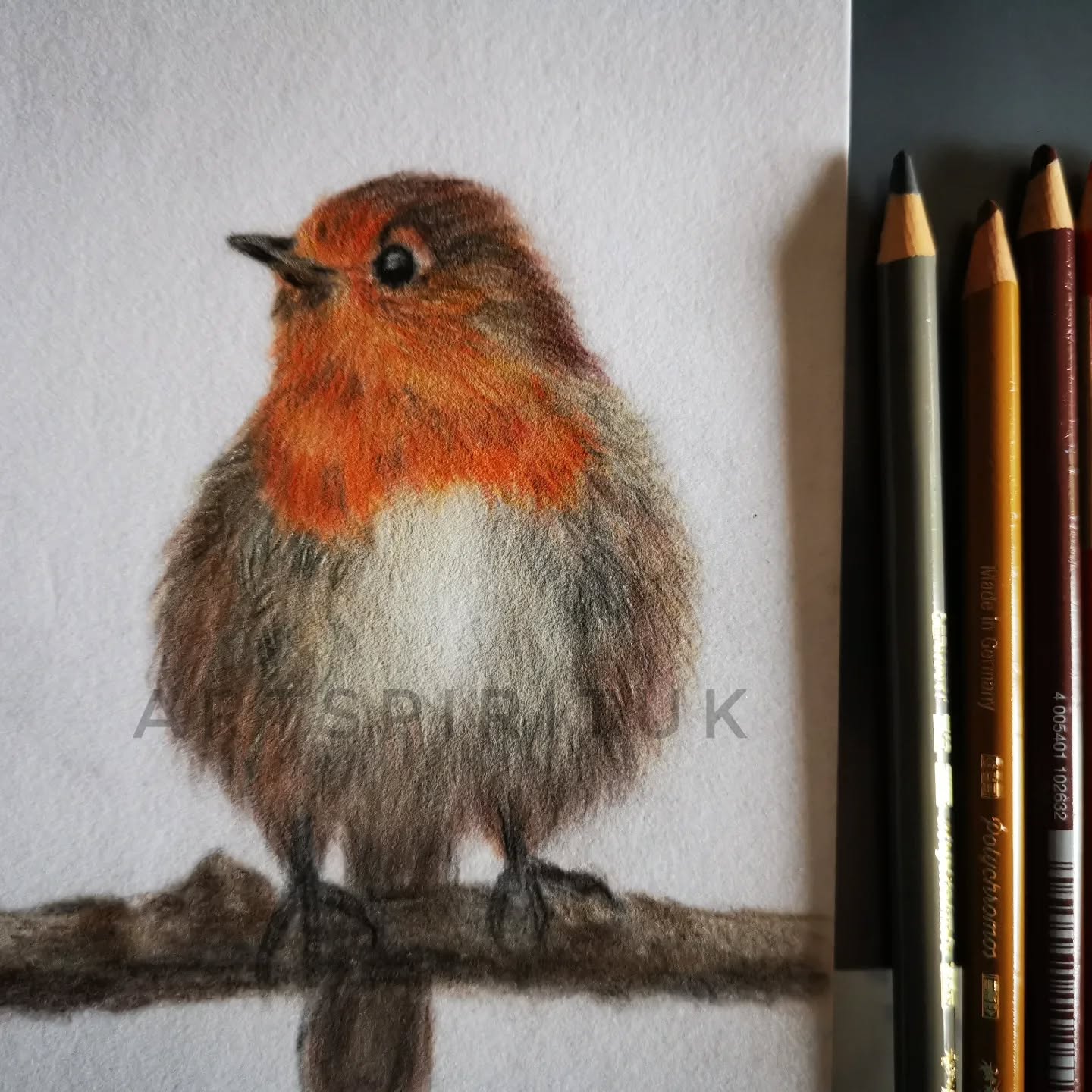 The beginnings of my wildlife collection. The Robin is on hanumule velour created with coloured pencils 😀#colourpencilart #colourpencils #robin#wildlifephotography #wildlife #art #artgallerys