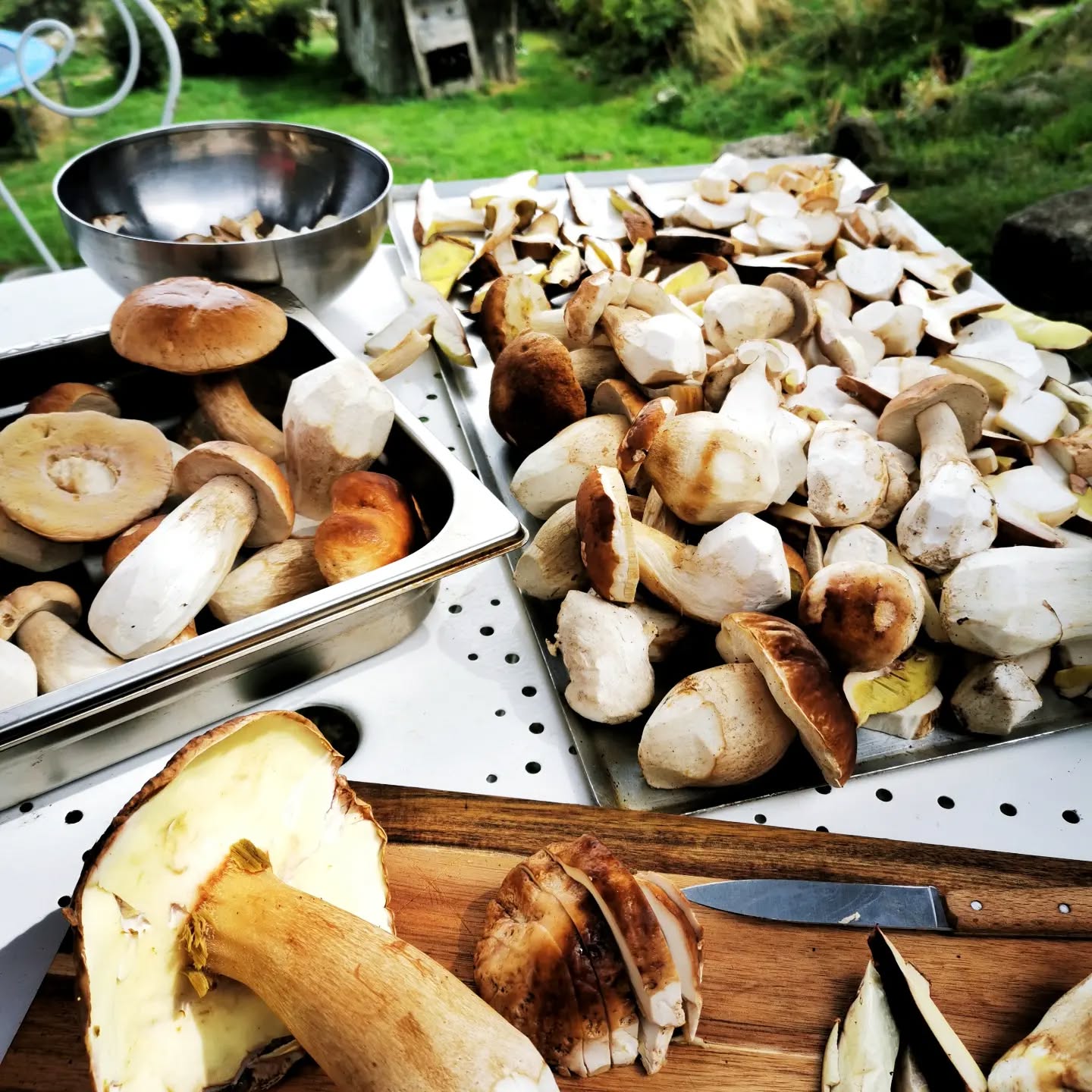 Nous aussi on sera bientôt saturés 🙏, (malgré les voleurs de cèpes sur notre terrain, grrr... C'est la ruée, de la folie obsessionnelle 😞... Avis a tous : il n'y en a plus ! )
En tout cas on aura fait notre reserve, vive les petits plats d'hiver... aux cèpes ❤️🍄🧡
#terrevivante #douceurdautomne #simplelife #naturelove #autonomie #offthegrid #lanarce #montagneardechoise