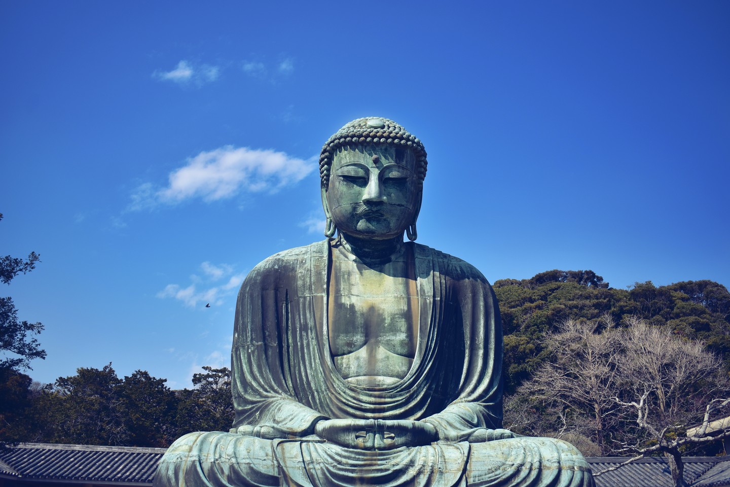 The Great Buddha of Kamakura (鎌倉大仏) is an outdoor bronze statue of Amida Buddha located on the grounds of Kotoku-in Temple in Kanagawa Prefecture.
Standing at the height of approximately 13.35 meters, it is one of the largest and the most renowned bronze Buddha statues in Japan.
Once housed in a huge hall, the Great Buddha today sits in the open air because the building was washed away by a tsunami in 1498.
镰仓大佛位于古都镰仓的净土宗寺院高德院内的阿弥陀如来青铜坐像俗称镰仓大佛,是古都镰仓的象征,大佛净高11.3米,连台座高13.35米,重约121吨。
佛像建造于1252年,大佛的较平的面相、较低的肉髻和前倾的姿势等,具有镰仓时代流行的宋代佛像的风格,是镰仓时期的代表性塑像,被定为日本国宝。
与奈良东大寺大佛在后世经历多次补修不同,镰仓大佛基本保持了造像当初的形态,所以非常珍贵。
.
.
.
#japanguide #triptojapan #travelinjapan #visitjapanjp #visjtmyjapan #jntosg #visitjapanphillipplines #jntoid #visitjapanAU #japanrevealed #travelgraphy #travelgram #traveling #trending #japanese #instagram #kamakura #greatbuddha #kanagawa #buddhastatue #greatbuddha #镰仓 #镰仓大佛 #神奈川