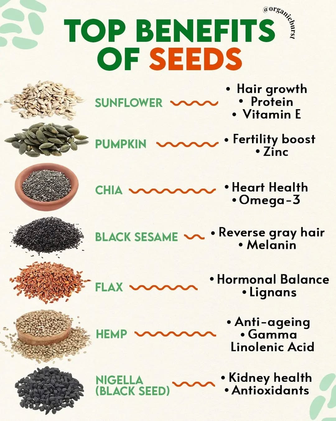THE HEALTHIEST SEEDS FROM NATURE'S ELEMENTS AND HOW THEY HELP👇
Seeds are the beginning of life for a plant – that’s why they are extremely nutritious and have been shown to guard against many degenerative diseases. They’re a great alternative if you have nut allergies, and actually contain more minerals and protein than most nuts.
Which should you be eating and why? (Remember to hit SAVE so you can refer back to our handy list):
🔸Nature's Elements Sunflower Seeds: Our hair is made from protein, and sunflower seeds are excellent for complete and easily digested protein. They also contain Vitamin E that has been found to increase blood supply to the scalp, resulting in longer hair.
🔸Nature's Elements Pumpkin Seeds: With excellent levels of easily absorbed zinc, pumpkin seeds can help to boost fertility in men and women. Zinc performs a critical role in the development of sperm and in the entire reproductive system of women.
🔸Nature's Elements Chia Seeds: A rich, natural source of plant Omega-3 fats that have been shown consistently in studies to help heart health, reducing risk of cardiovascular disease.
🔸Black sesame: These small but mighty seeds contain melanin, the natural pigment that can reverse graying (and also help protect against UV rays). Their powerful antioxidants can help counteract oxidative stress, a major cause of gray hair.
🔸Nature's Elements Flax Omega- High levels of lignans - gentle plant hormones in flax - have been shown to improve symptoms of hormonal imbalance including PMS, breakouts, and hot flashes. Try 1tbsp ground flax daily.
🔸Hemp: The Omega-6 fat gamma linoleic acid (GLA) in hemp seeds encourages skin cells to regenerate, whilst improving moisture in the skin.
Buy now on www.natureselements.in
How to:
🔹¼ cup (about 1oz) is a good serving size for seeds daily.
🔹Choose raw, unprocessed seeds
🔹Sprinkle on breakfast bowls, salads, soups, or use in your homemade granola.
Reposted from @organicburst