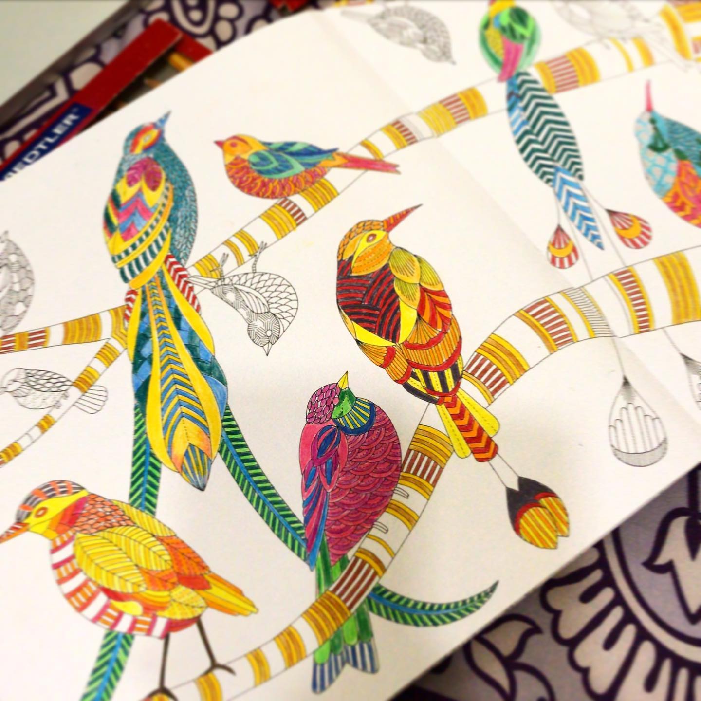 Artwork in progress
#artykase #colorful #coloursofnature