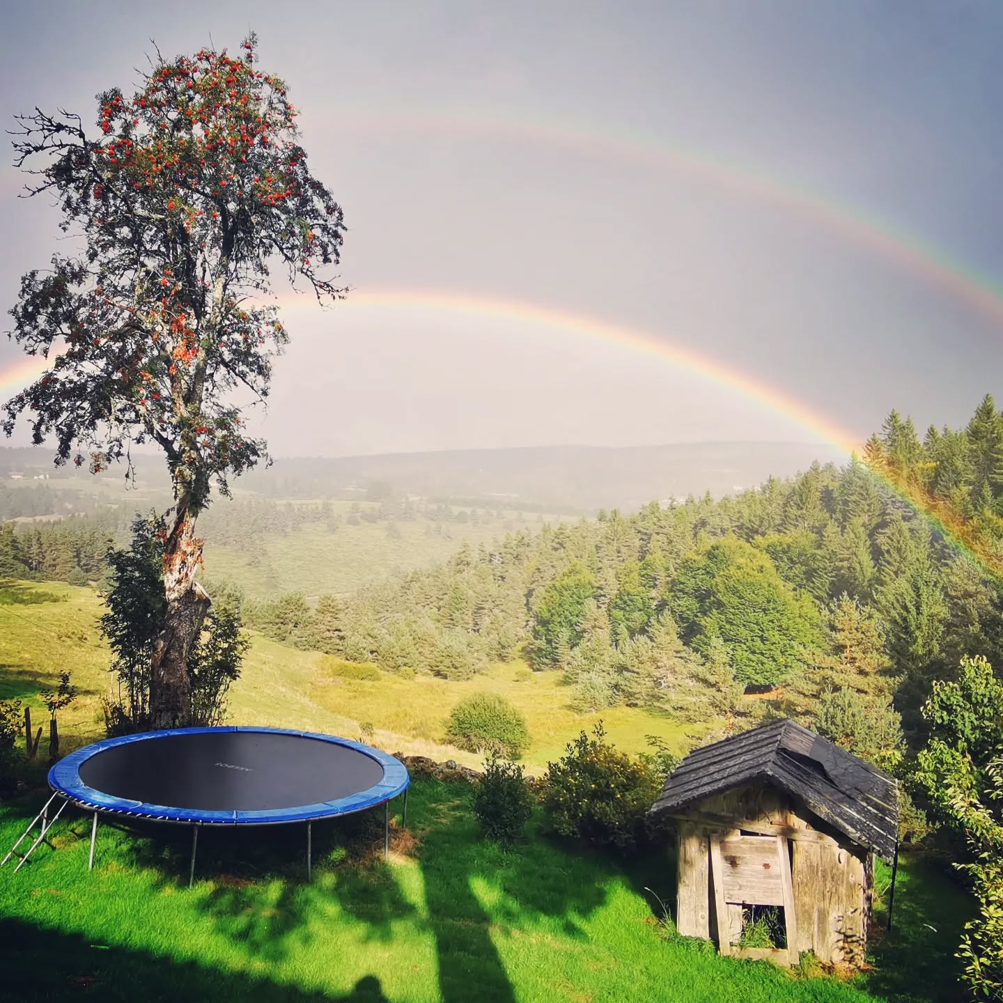 Je n'ai pas pu capturer la beauté de ce paysage, deux arc-en-ciel d'une luminosité sans pareille ! Illusions de paradis a chaque détour de saison.
#petitparadis #simplelife #naturelove #gardenofeden #abundance #doublerainbow🌈🌈 #montagneardechoise #auclairdelasource #Lanarce