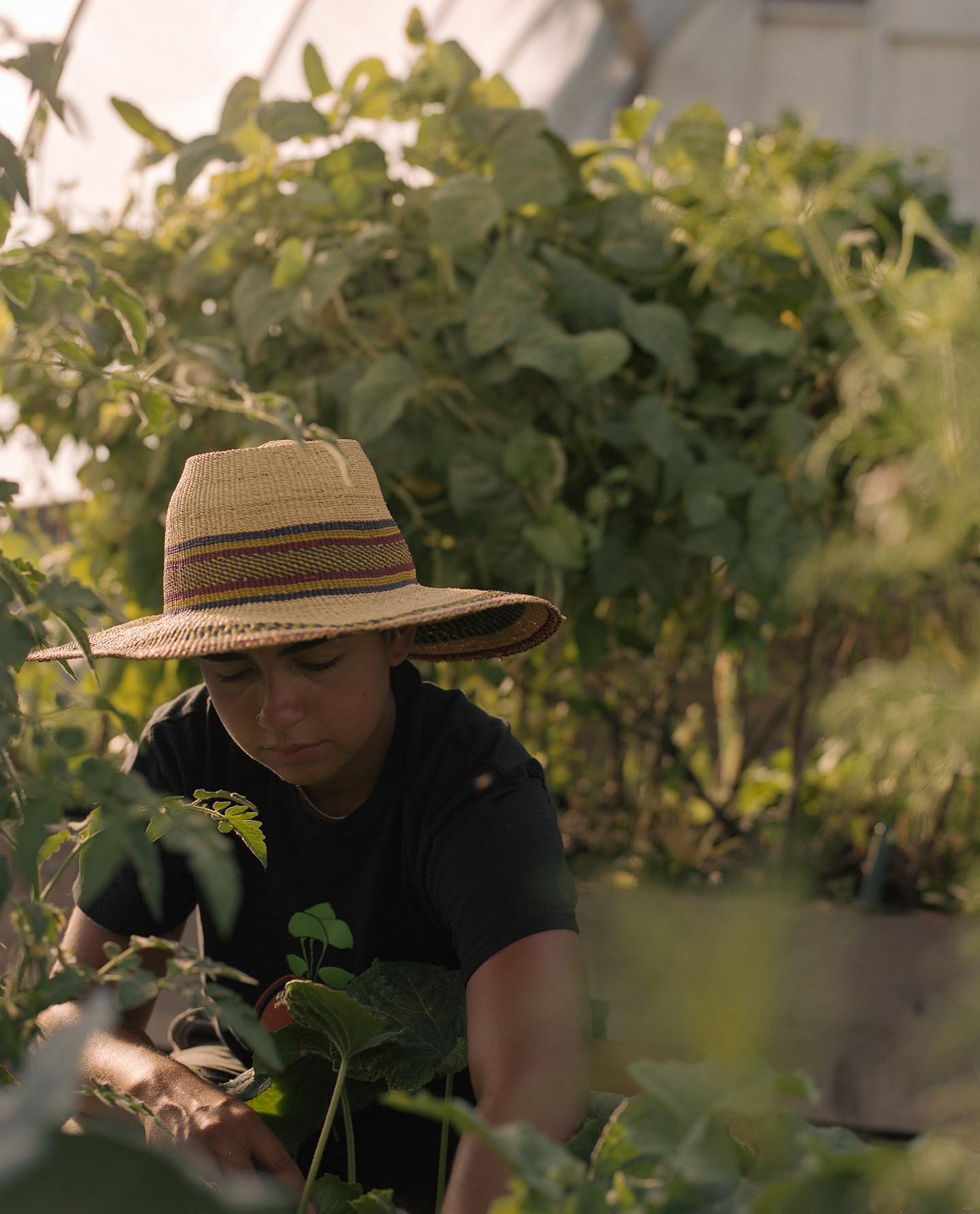 The 221st recipient is Hannah Wilson @blackfarmerscollective in Seattle, WA.
Hannah writes, “My journey to farming came from a desire to steward the land and be in better connection with my community, the land, and myself. As a mixed Black queer and disabled farmer & land steward, I didn’t grow up seeing people who looked like me in this work and continue to see a lack of spaces, especially outdoor green spaces that are built around safety, care, joy, and connection for Black and brown people.
To me, farming made room for me to take care of myself and the people around me from a place of abundance. Just like how plants communicate with us and one another, rely on each other, are continuously in the process of becoming, and going through the cycles of life, death, and rebirth, so do many parts of ourselves and our community. The fact that farming is an ancestral practice keeps me very grounded when I need it most as well. The wisdom of the land that I’ve gained through farming has taught me to embrace and live in all of these truths at once.”
#blackfarmerscollective #realfarmercare