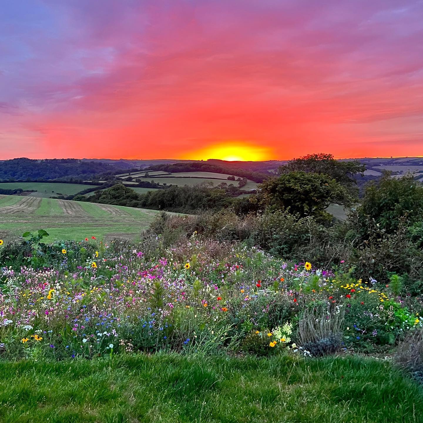 I promise you this photo has no filter and is real!
These views still catch us by surprise and we had to share this moment from Cottlass Cabin on Monday evening. I’m not even sure this photo can show you how bright the sky lit up as the sun just disappeared behind the hills.
Autumn at the cabins might be our new favourite season! 🍁🍂
#escapetotheland #nofilter #sunset #devon #cabin #glamping #autumn