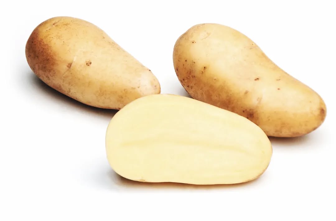 Tässä se on, SUOMEN SUOSITUIN PERUNA: ANNABELLE 🇫🇮 Annabellen kokonaisviljelyala Suomessa nousi viime vuodesta 127 ha ja sillä noustiin sijalta 2 sijalle 1🥇🏆👌🥳 @ruokavirasto #annabelle #suomensuosituin #numeroyksi