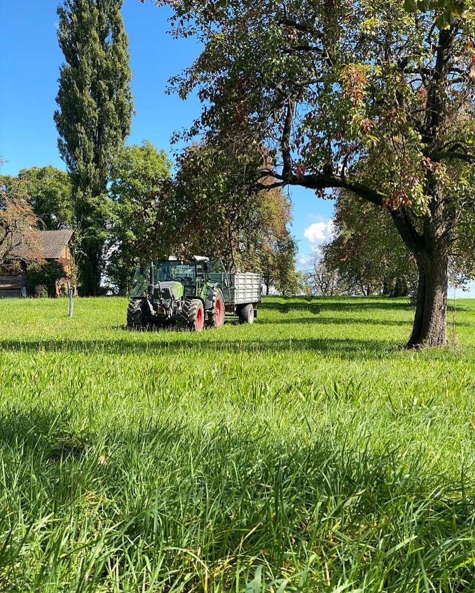 Ein Hoch auf den Herbst😍
So sah es heute Nachmittag bei uns aus☺️
Wer von euch mag auch den Herbst? :)
.
.
#goldener #Herbst #Erntezeit #Ernteeinfahren #ernten #hochstammbäume #natur