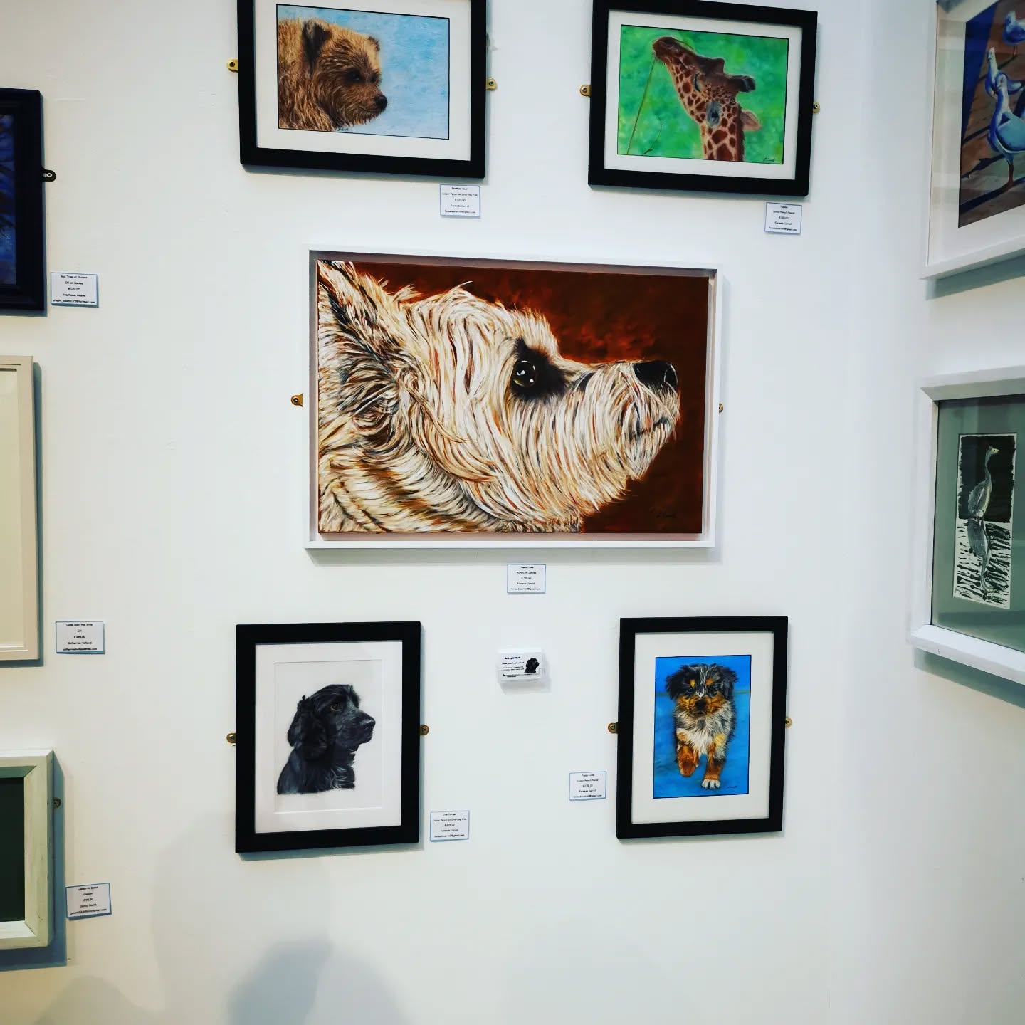 My part of the exhibition in Solihull the Core. So very happy with my paintings. #colourpencilart #gallery #eatongallery #petsofinstagram #dogs#wildlife#doglovers#galleries #londongallery #tatebritain