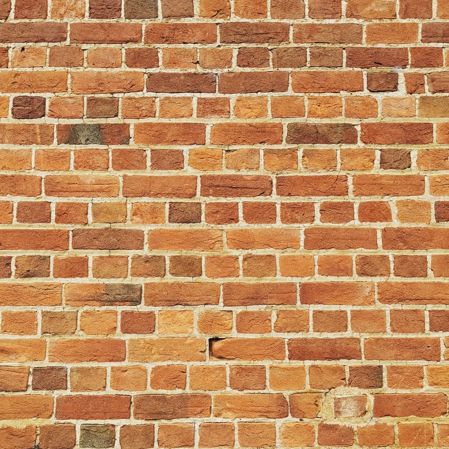 Flemish bond, English bond, a few of the many things you can do with bricks. These are 100 + year old walls in Berry and Jindyandy.
#brick
#berry
#jindyandy