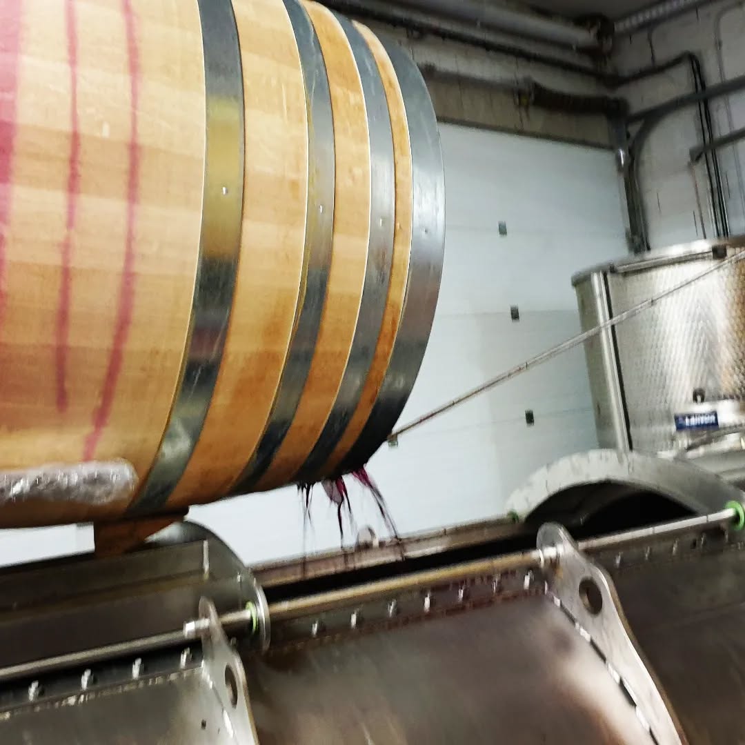 Journée décuvage des 4 fûts de syrah vinifiée intégralement dans la barrique après plus d'un mois de macération..