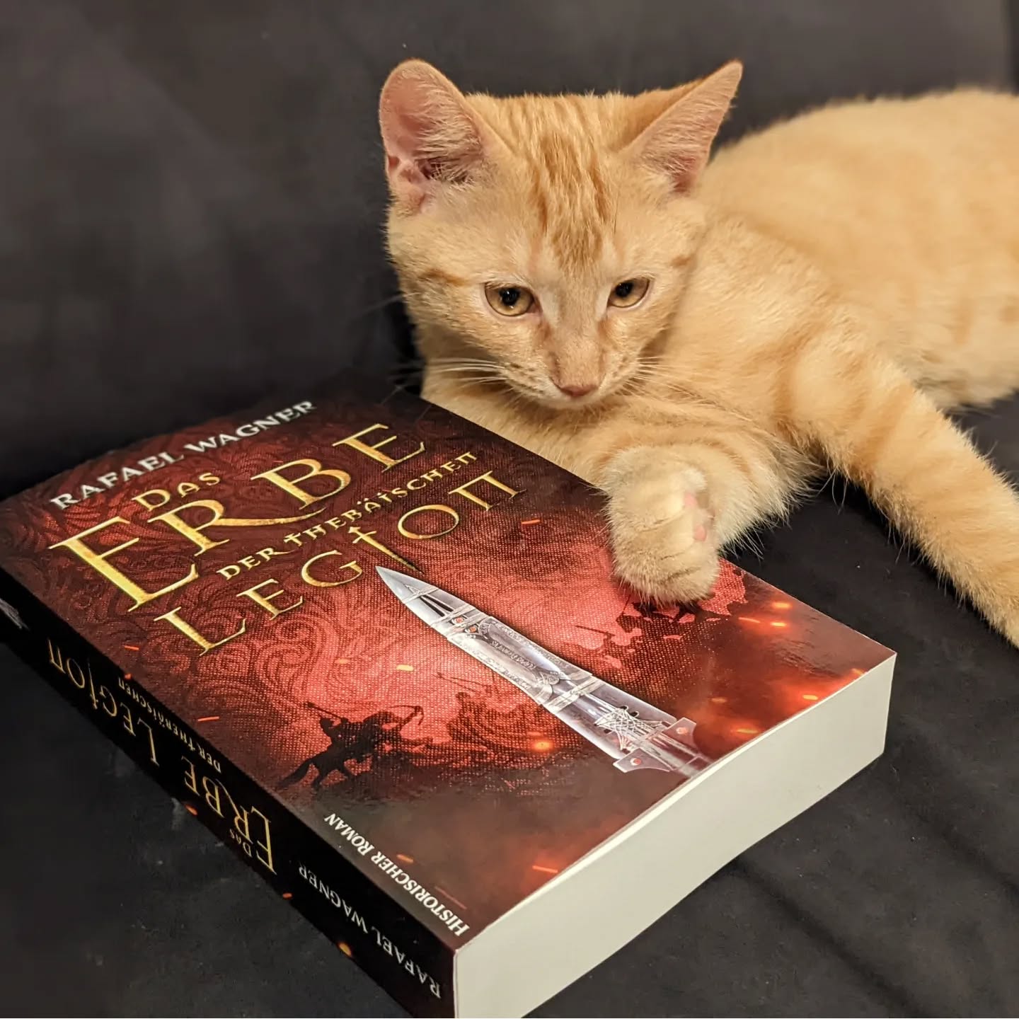 Störfaktoren. Was hält dich vom Schreiben ab?
Erstmal danke @die_loewenwichtel fürs Markieren im Gedankenaustausch mit @sandramichellestrausz #inunsererweltschon zu Dingen, die uns Ablenken oder gar Abhalten vom Schreiben.
Obige Katze ist es definitiv nicht, da sie nachts bei mir im Büro eher das angenehm schnurrende Autorenkätzchen spielt 😄
Aber obwohl das jetzt schon mehrfach angesprochen wurde, finde ich schon, dass Haushalt, Kinder, Vereine und ja selbst Familie und Freunde nebst dem eigentlichen Job ganz ordentlich vom Schreiben abhalten. Nun ist das alles selbsgewählt und die Familie auf jeden Fall der zentrale Punkt in meinem Leben, aber ganz so vereinnahmend habe ich mir die Zukunft noch während des Studiums ehrlich gesagt nicht vorgestellt 🙈 (sehr naiv, ich weiß)
Meine Schreibzeiten haben sich jahrelang auf die Zugfahrten zum Job begrenzt, was doch vier Stunden pro Tag ausgemacht hat und weshalb ich bis vor zwei Jahren richtig viel dazu kam. Nun fahre ich nur noch zwei Tage die Woche je eine Stunde Bahn bzw. zweimal ca. 25 min schreibfähige Zeit 😉 Um wirklich an einem Projekt dran zu bleiben reicht das nicht. Denn an den anderen Tagen bin ich Hausmann mit zwei kleinen Kindern und somit 100% absorbiert. Schreiben klappt zwischendurch mal zwischen 22 und 24 Uhr oder wenn meine Frau am Wochende für 1-2 Stunden die Kinder allein übernimmt und mir etwas Schreibzeit gönnt ❤️
Mein großes Glück ist, dass ich mich an den Laptop setzen und augenblicklich in die Welt meines Romans eintauchen kann, als wäre ich nie weggewesen. Damit fallen Dinge wie Schreibblockaden als Störfaktoren zumindest weg 😜
Ich denke, sich Schreibziele oder feste Schreibzeiten einzuplanen, dürfte längerfristig die Lösung sein. Das ist wegen all der unplanbaren familiären Überraschungen zwar vermutlich noch die nächsten fünf Jahre eher ein Wunschgedanke, aber insgeheim die hoffnungsvolle Zukunftsmusik... 📚✊🏻
Wie seht ihr das? Ich tagge niemanden, aber wer es bis hierhin durchgehalten hat, darf gerne mitmachen 😉
#autorenaustausch #schreibliebe #störfaktoren #schreibenmachtglücklich