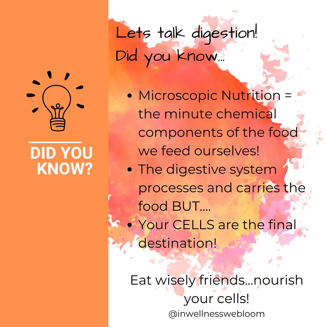A few tidbits of digestive info never hurts! How is your digestion?
