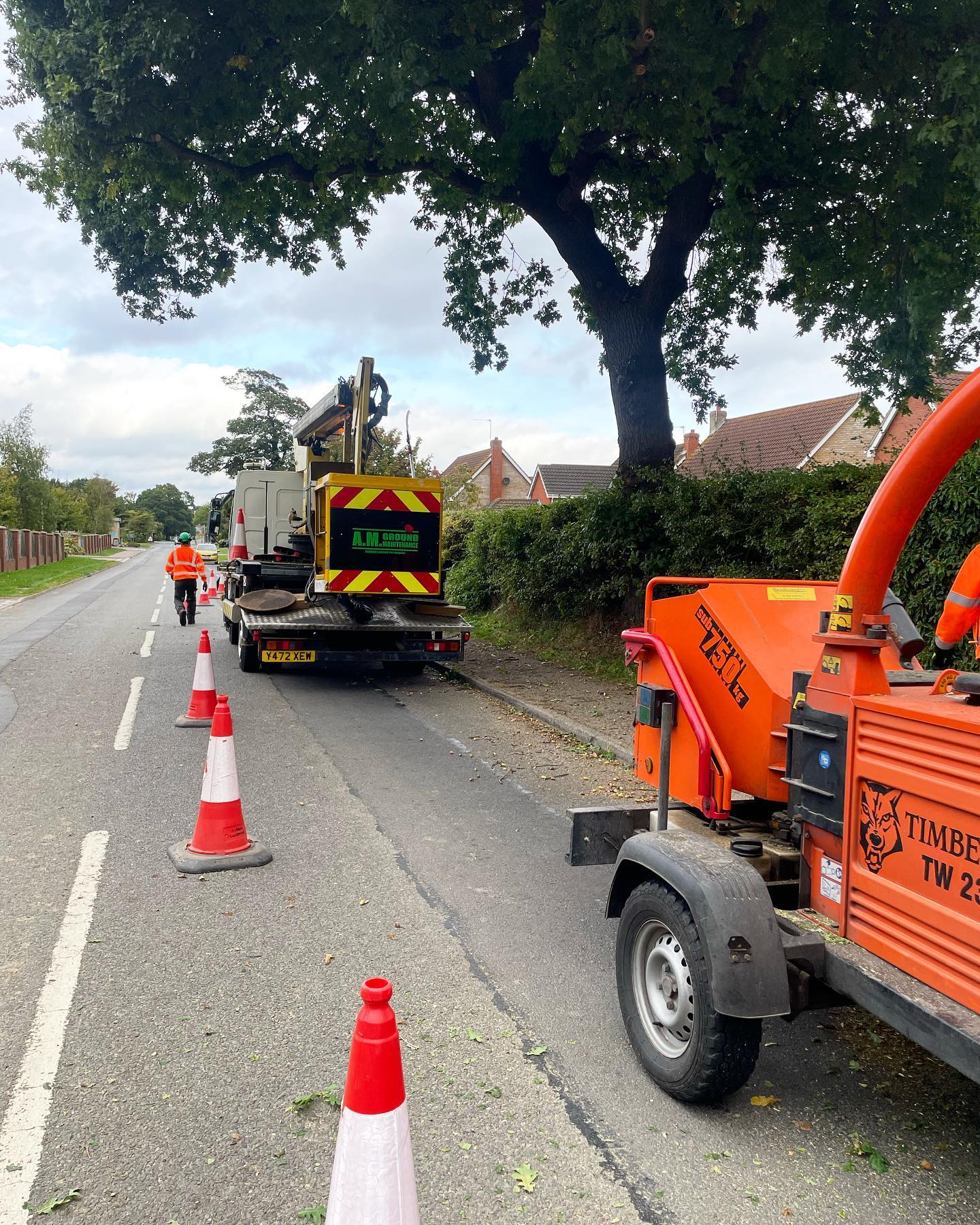 More recent photos of work carried out for Lovell Homes. This Oak tree needed to be crown raised, as lorries were hitting the low branches whilst bringing materials into the site. 🌳🌳🌳 🚛 🚛 🚨 🚨 #amgroundmaintenance #norfolk #norfolkbusiness #construction #arborist #edp24 #arb