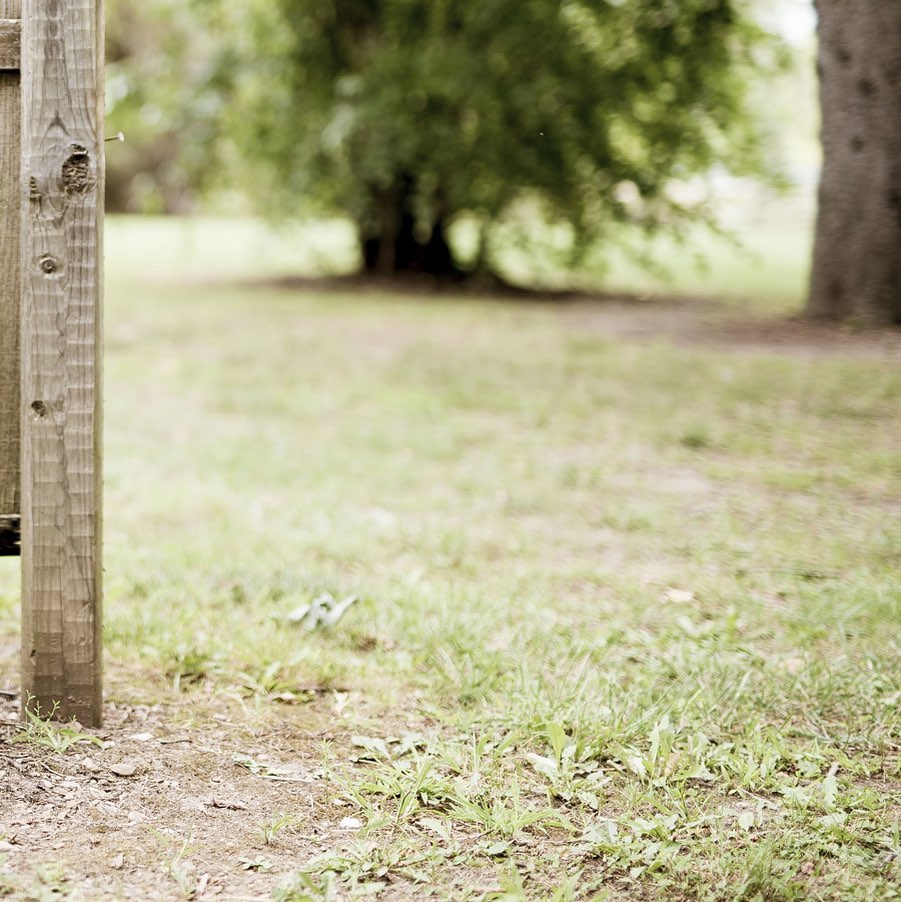 #garden #gardendesign #planting #landscaping #gardenmaintenance #gardensofinstagram #horticulture #horticulturist #plants #landscapedesign #chelsea #chelseagardener #gardening #trellis #gardenstructure #gardeninspiration #gardensofinstagram #gardenworld #decking #lighting #planting #london