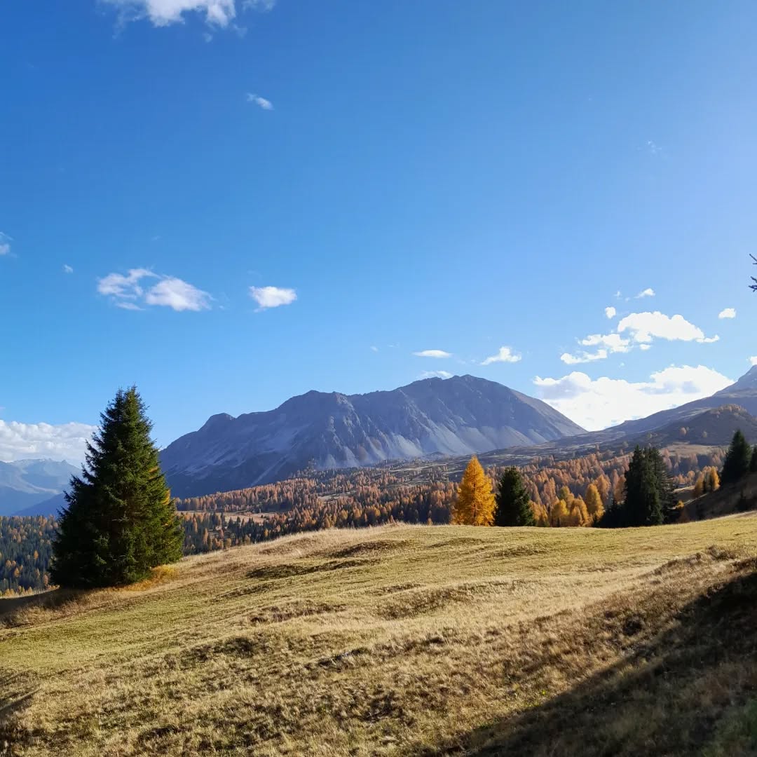 Schönstes Herbstwetter lädt zum wandern und geniessen ein.
#stierva #alpstierva #herbstwetter#uts #graubünden #sonnenschein #herbstfarben #natur