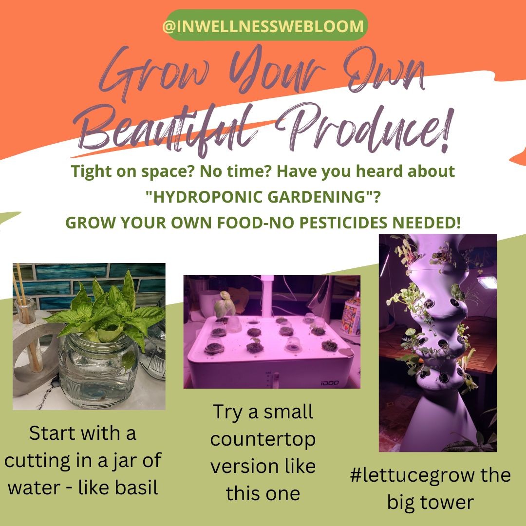 Hydroponic gardening is so much fun and you could always have fresh, organic produce and herbs on hand. Easy, fun, satisfying to create. I have basil on my counter, a small ido unit from amazon to start some seedlings, and the big guy - the #lettucegrow tower. I don't have garden space, so all are indoor with grow lights! Clean eating at its finest!