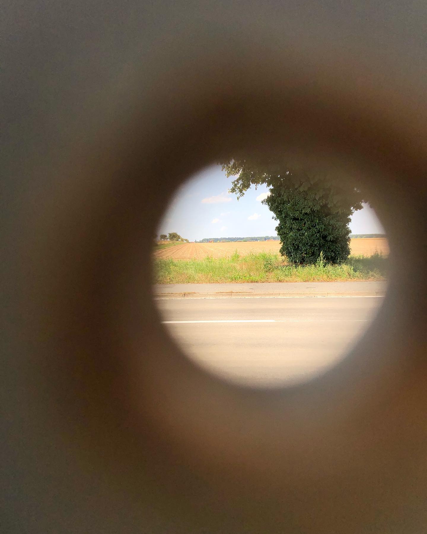 #meinhofundich Tag 7/7
Wenn ich einen Wunsch frei hätte…
dann würden wir alle mehr Positives, mehr Chancen und Möglichkeiten als Probleme an und in der Landwirtschaft sehen.
Wir LandwirtInnen, wir VerbraucherInnen und auch alle PolitikerInnen, NaturschützerInnen, AktivistInnen, UnternehmerInnen usw.
Let´s talk!
Die Landwirtschaft ist die älteste Form der Kultur, sie ist im Wandel, in der gesellschaftlichen Kritik und sie muss zukunftsweisend sein.
Dafür wünsche ich mir, ehrlich, vor allem auch verlässliche politische Rahmenbedingungen!
#wunschkonzert #positiv #chance #landwirtschaft #kultur #politik