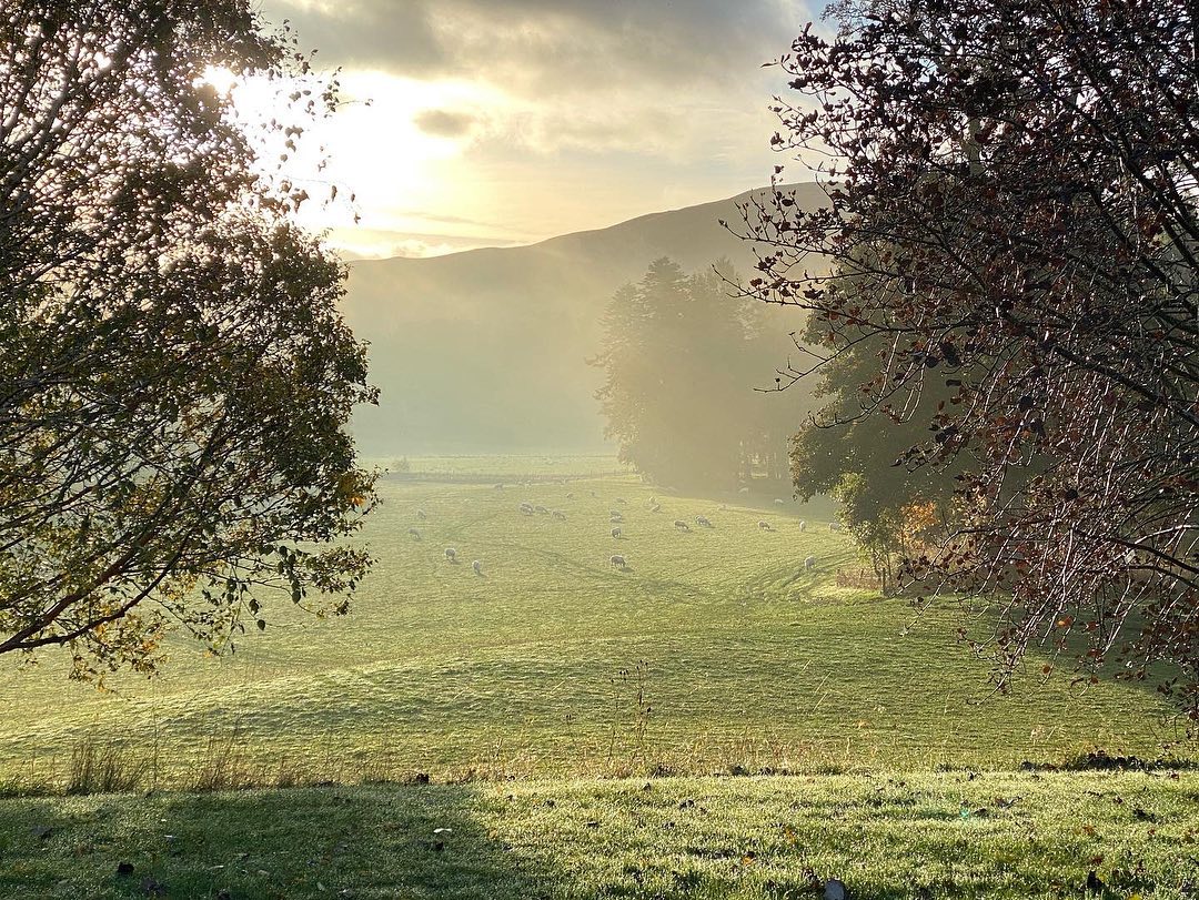 #autumn #scotland #scottishrivers #rivertweed #peebles #gardeninspiration #tuliplandscapes #landscapephotography #autumncolour #gardenphotography